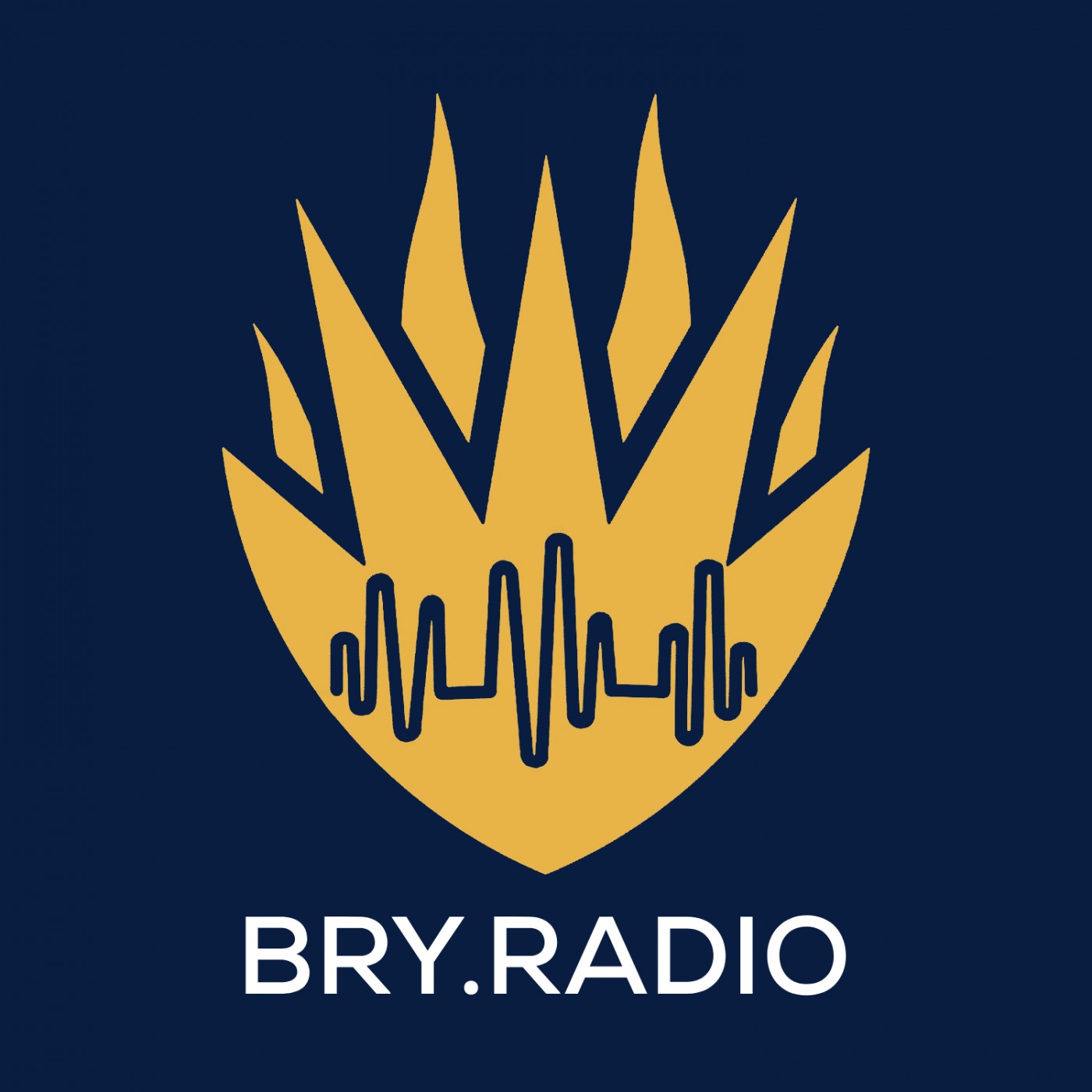Bry.Radio - Breakfast Shows