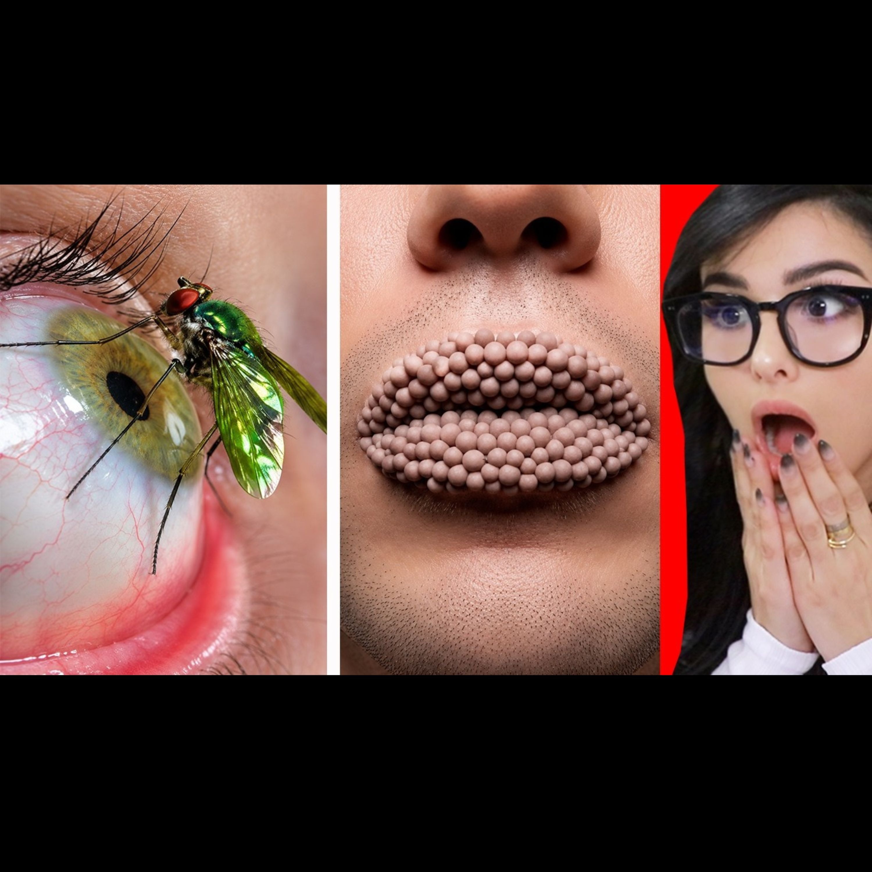 Videos That Will Unlock A New Fear