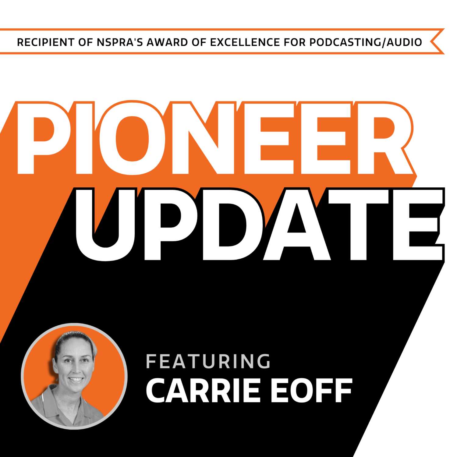BSD - Pioneer Update