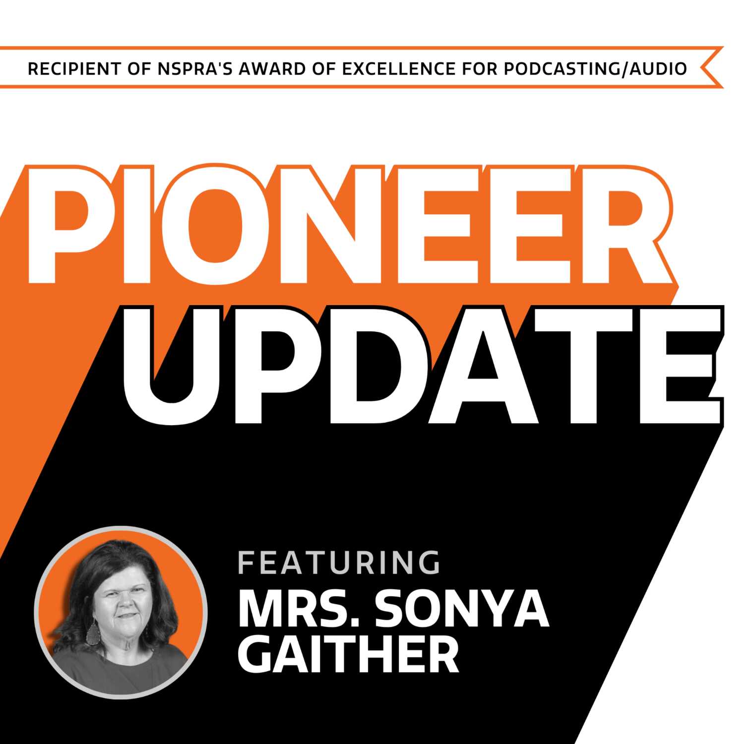 BSD - Pioneer Update