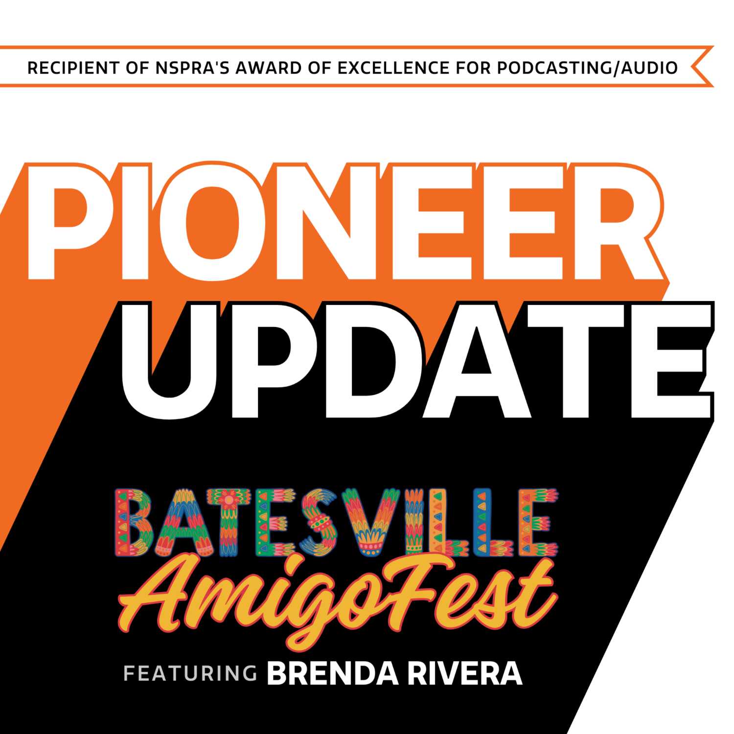 BSD - Pioneer Update