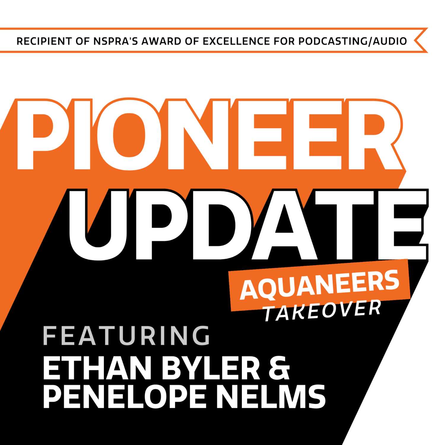 BSD - Pioneer Update