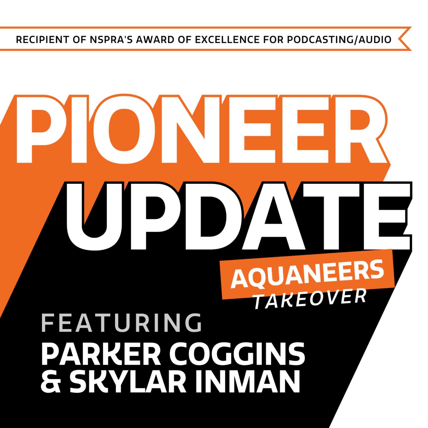 BSD - Pioneer Update