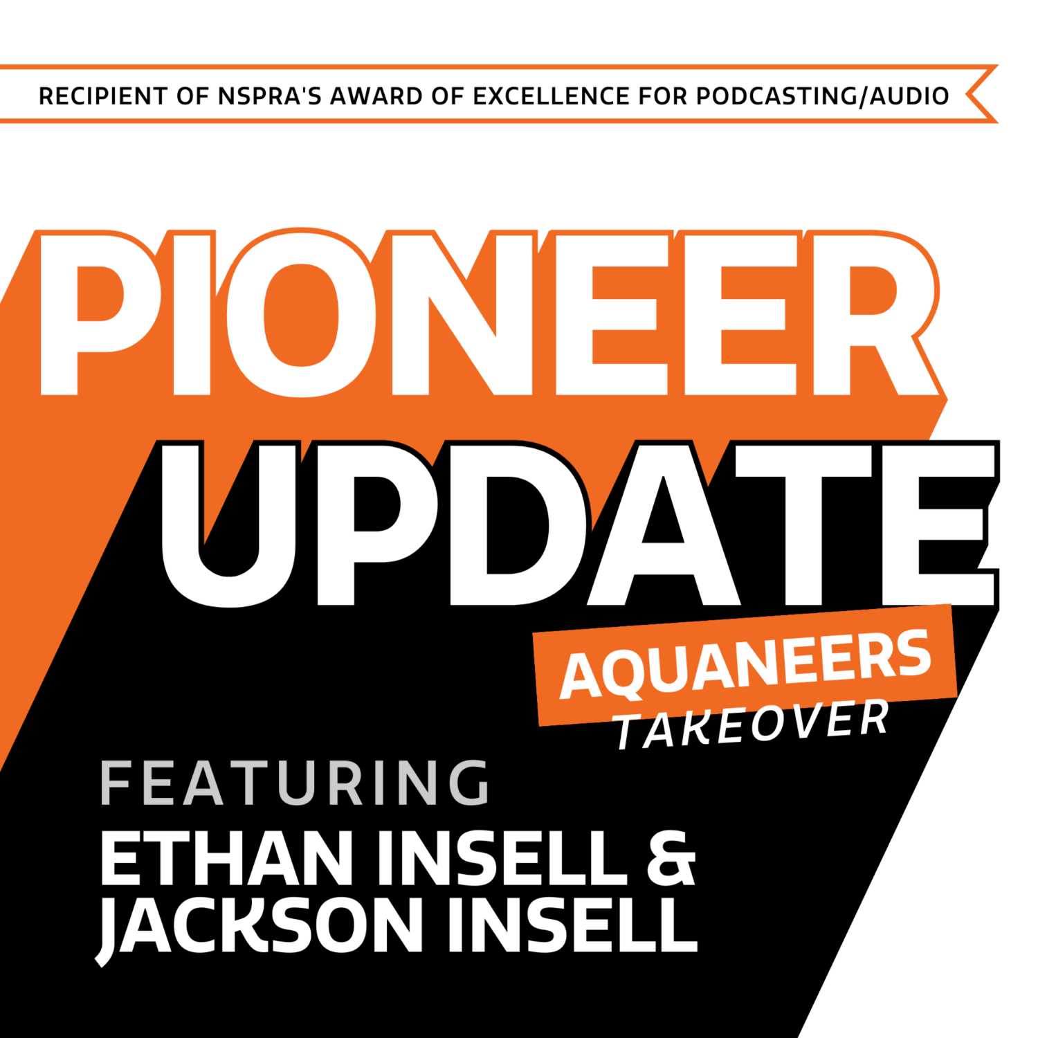 BSD - Pioneer Update
