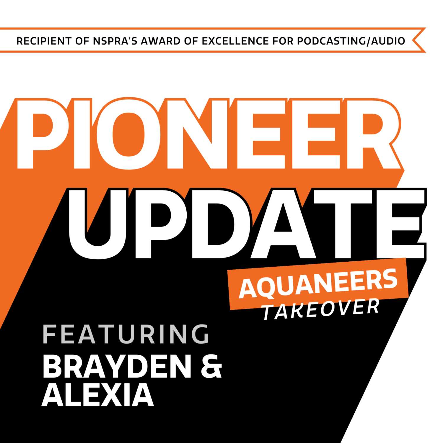BSD - Pioneer Update