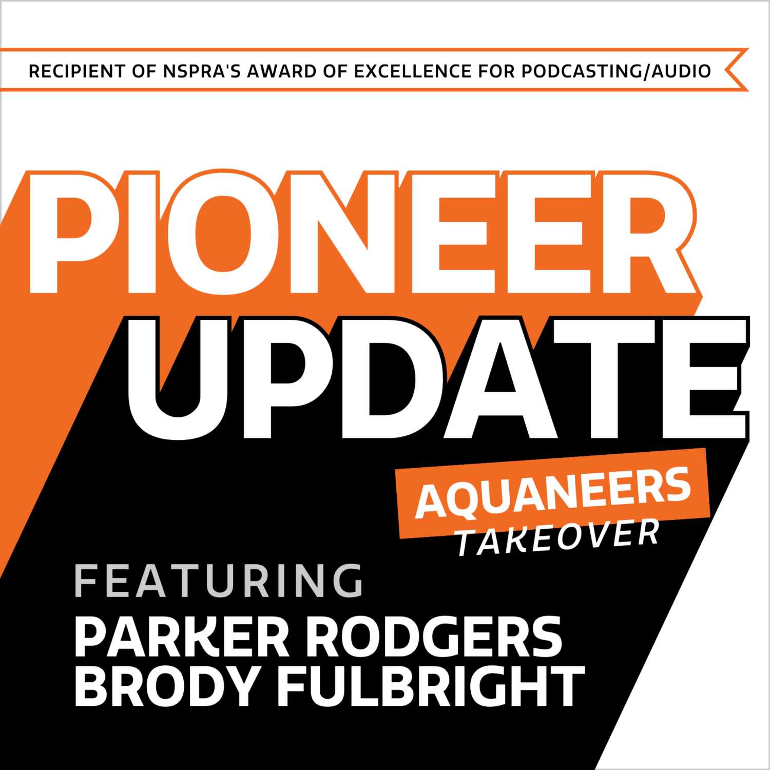 BSD - Pioneer Update