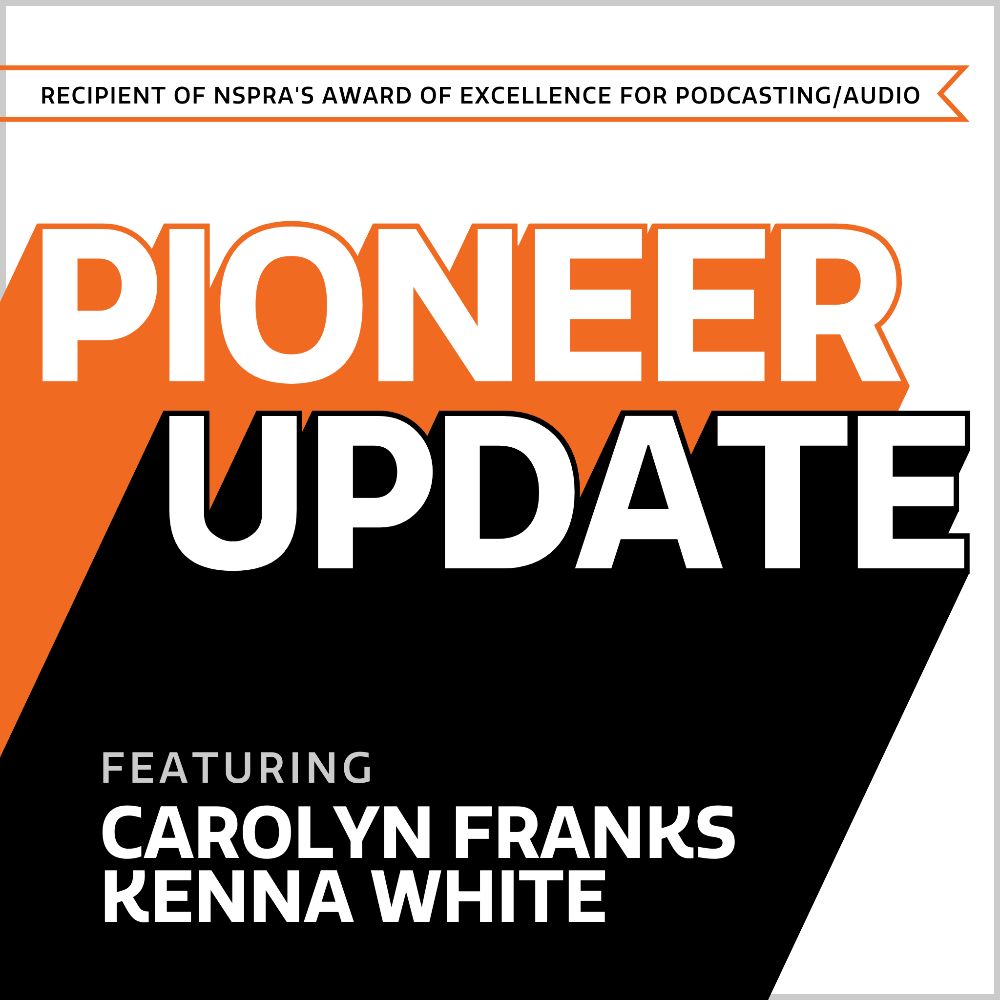 BSD - Pioneer Update