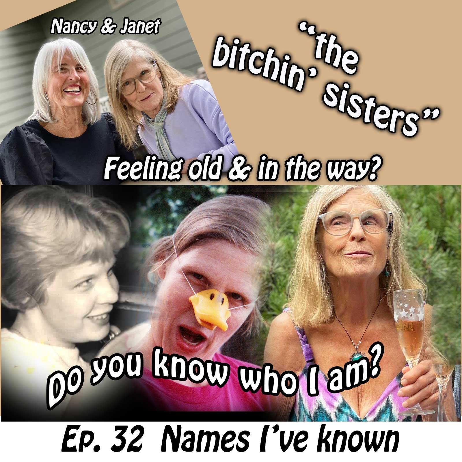 THE BITCHIN SISTERS - Nancy and Janet are old and in the way!