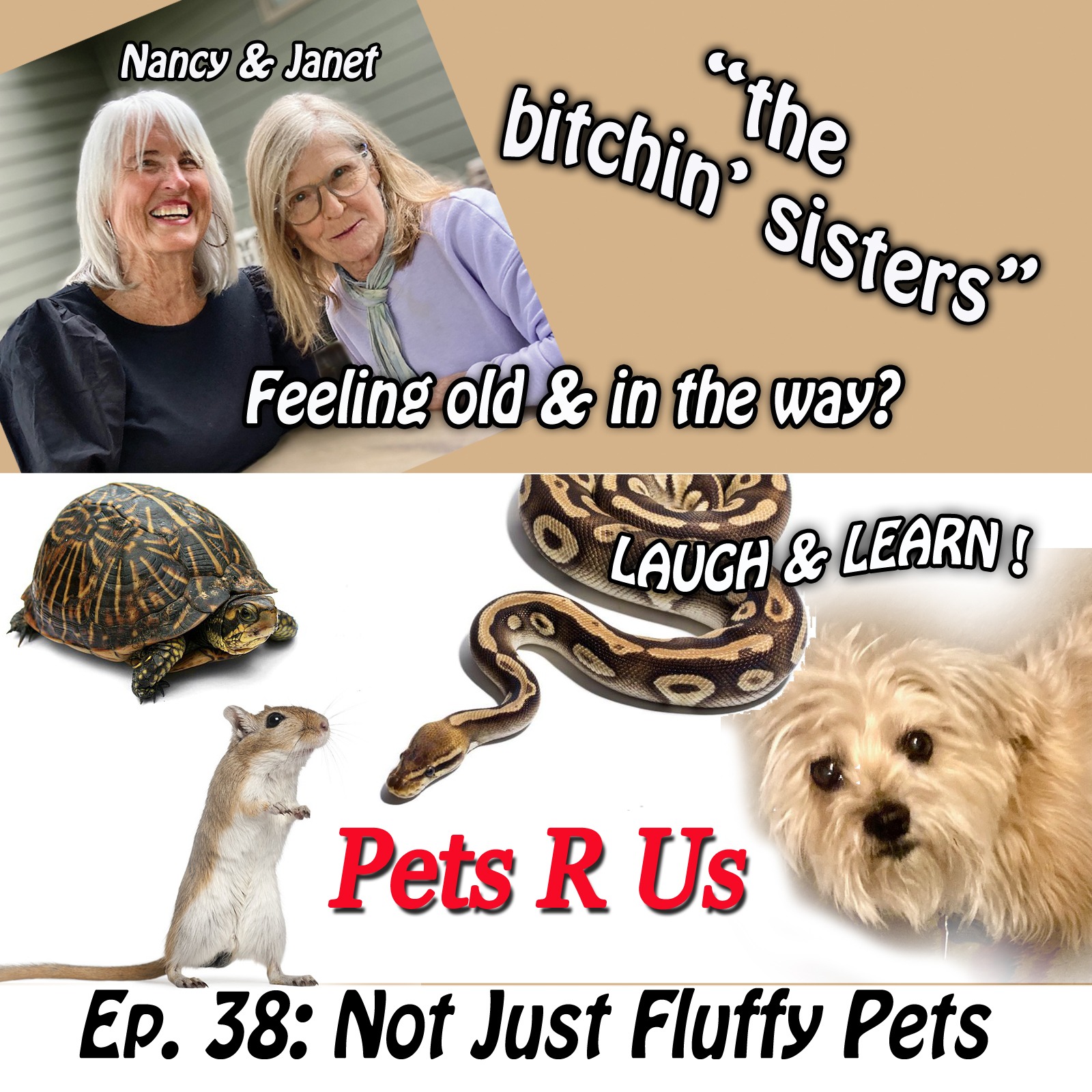 THE BITCHIN SISTERS - Nancy and Janet are old and in the way!