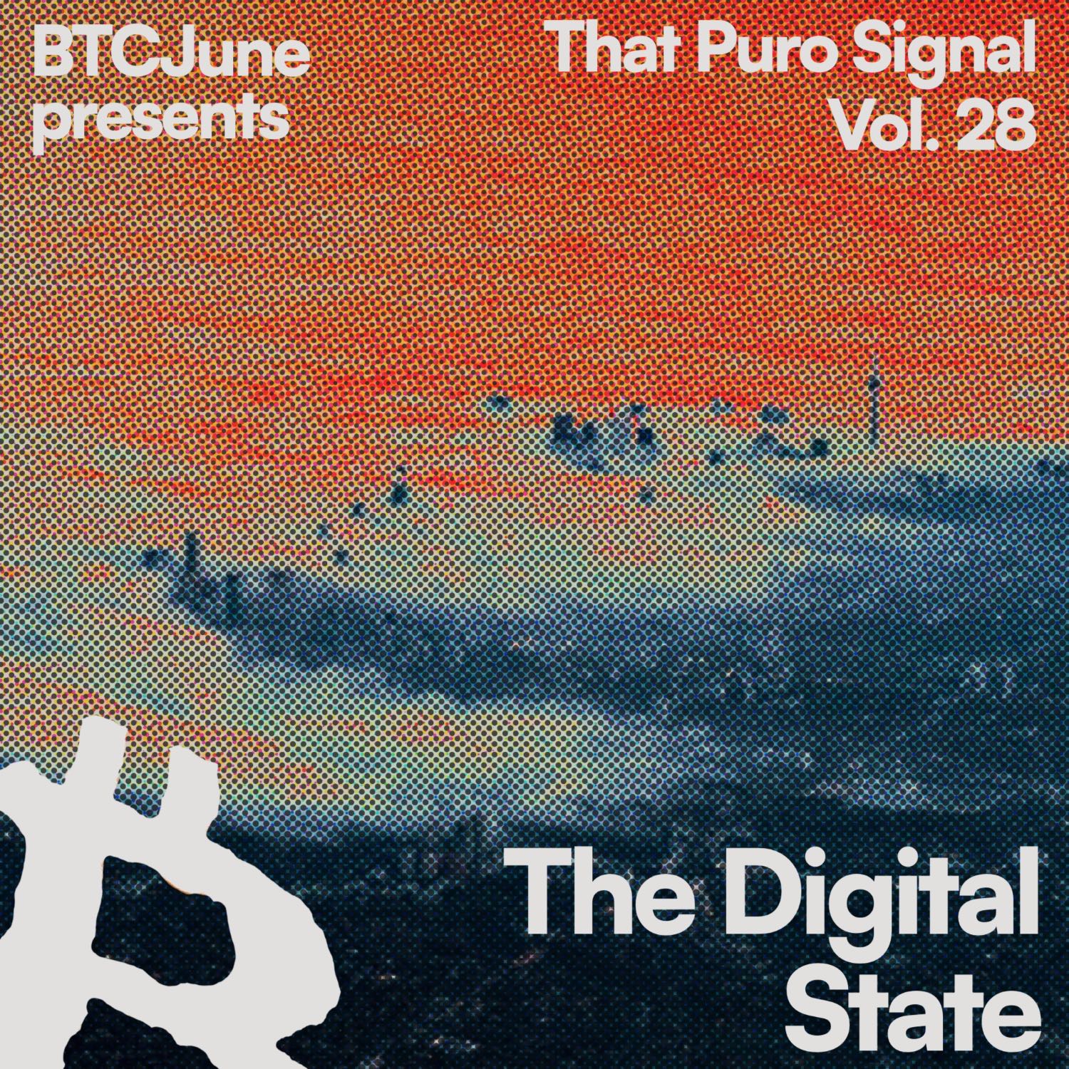 Volume 28 - The Digital State