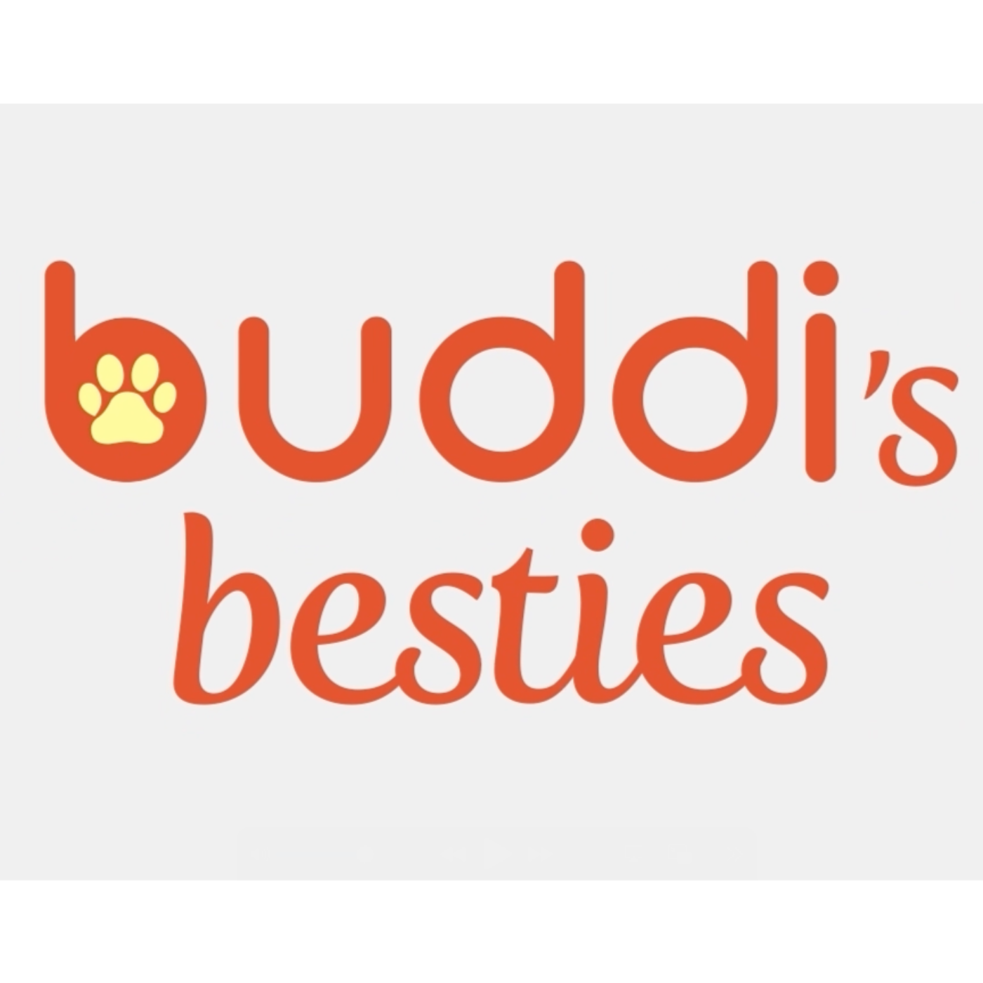buddi\'s besties