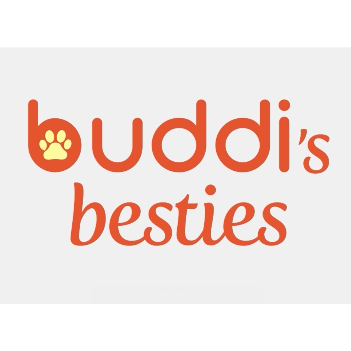 buddi\'s besties