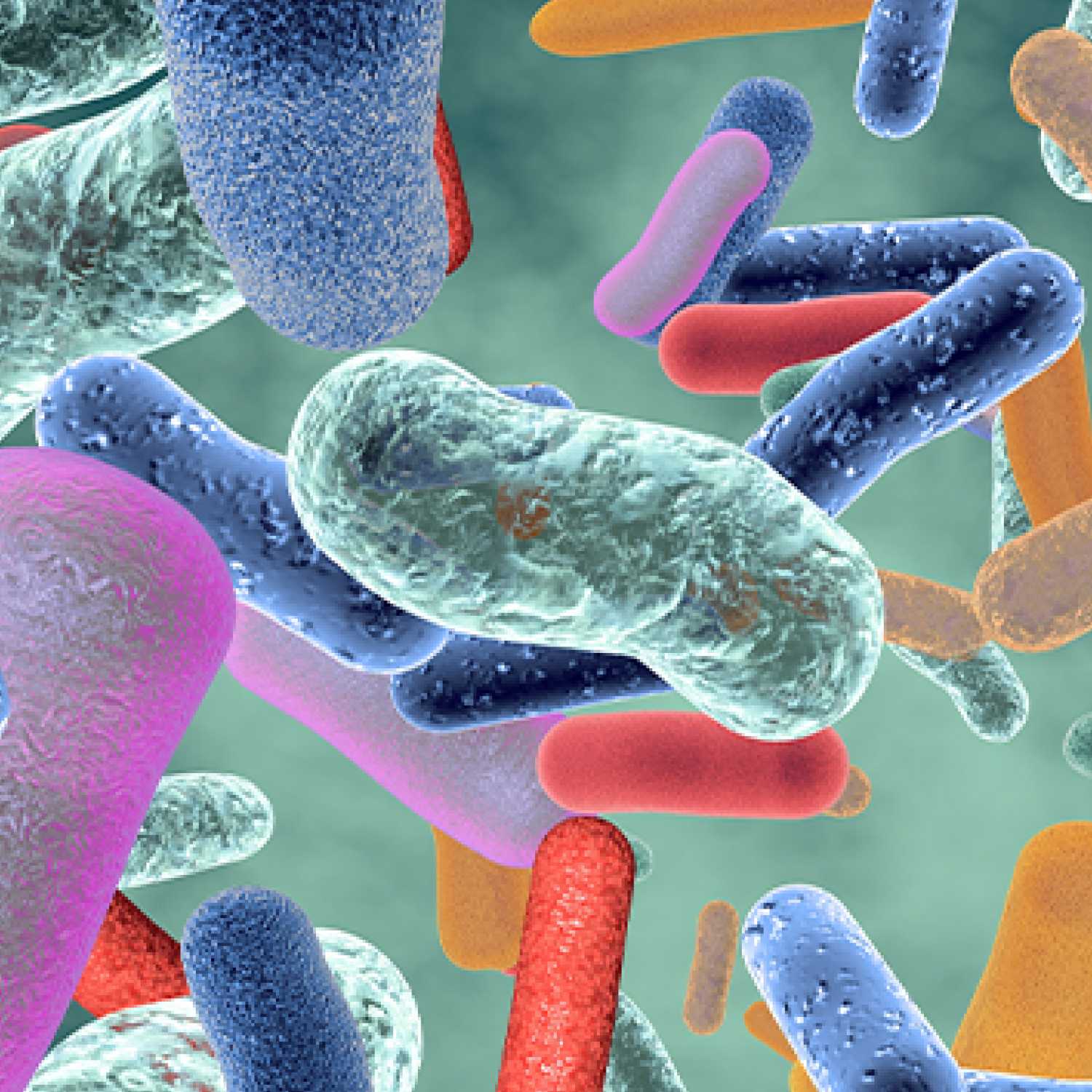 MICROBIOTA - Dr. Jesús Costa - BUENVIVIR episode artwork