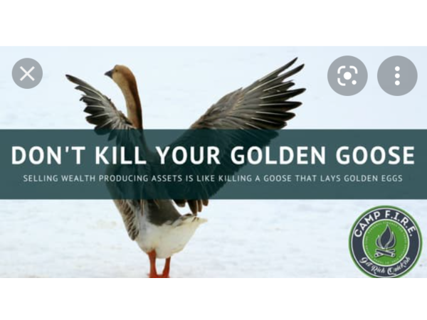 Don't Kill The Goose That Lays The Golden Eggs: 619-768-2945 episode artwork