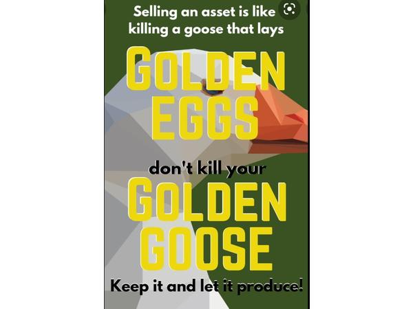 Gentrification Chess, Geese, &amp; Gold Eggs episode artwork