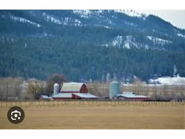 From Ex-Convict To Town Founder: Tiny Town #18 - Laurier, Washington episode artwork