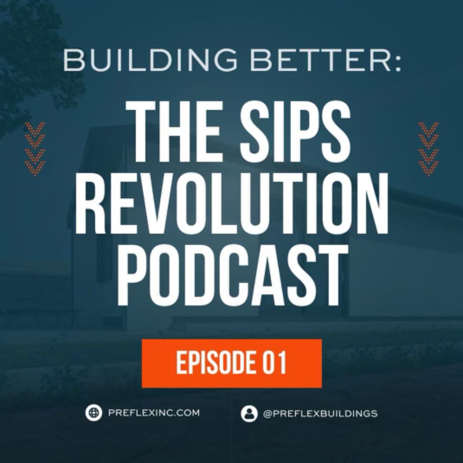 SIPs 101: Everything you need to know