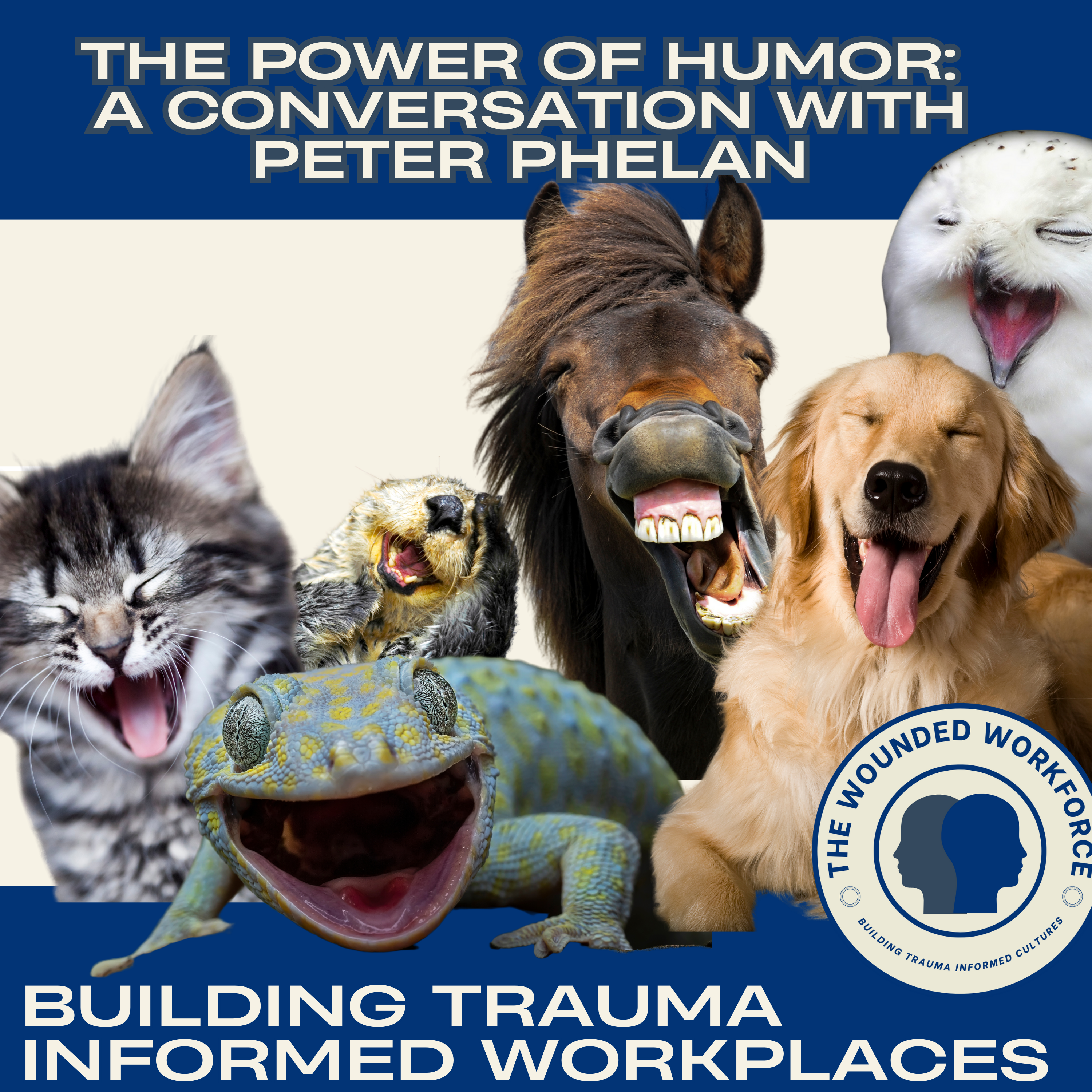 The Power of Humor: A Conversation with Peter Phelan