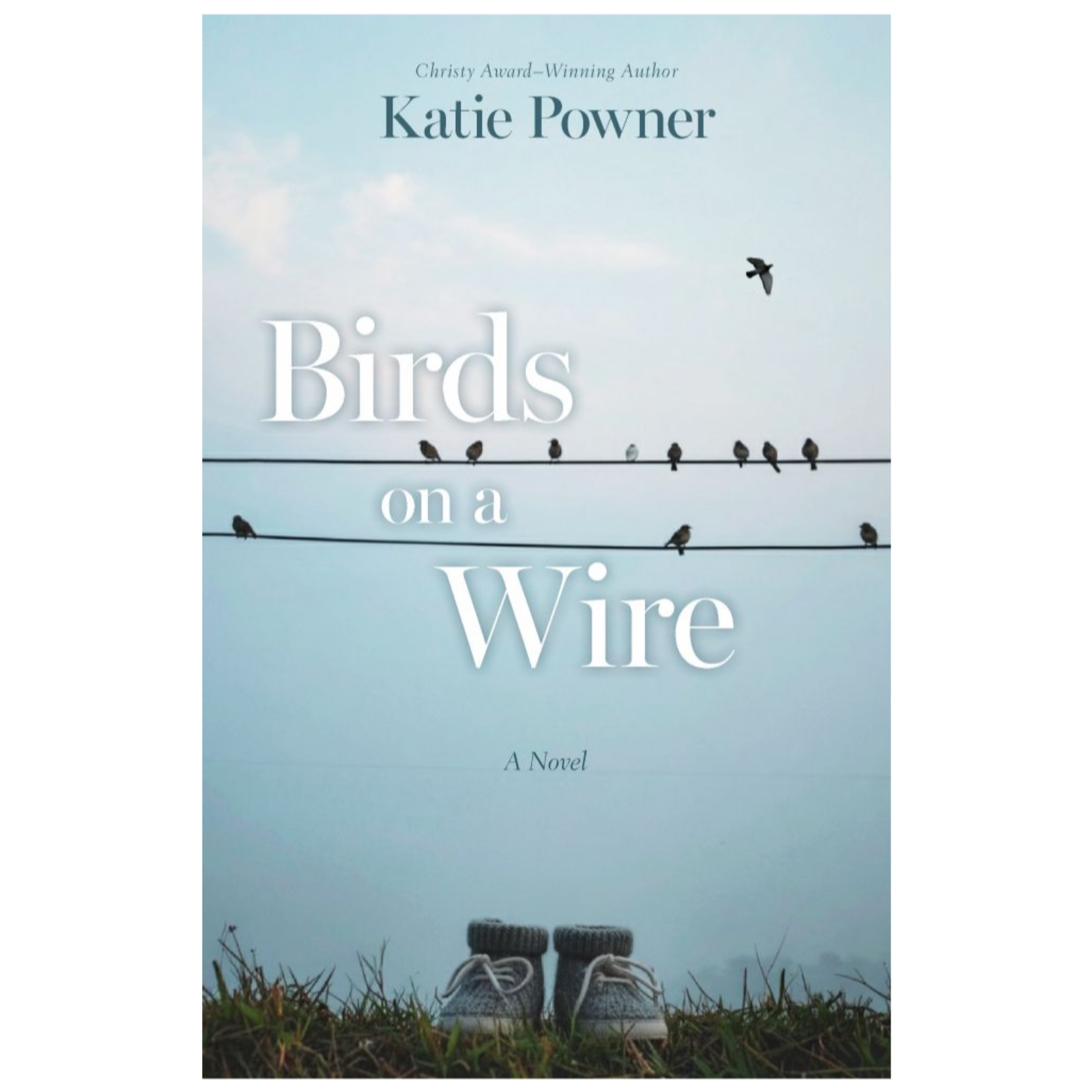 Birds on a Wire episode artwork