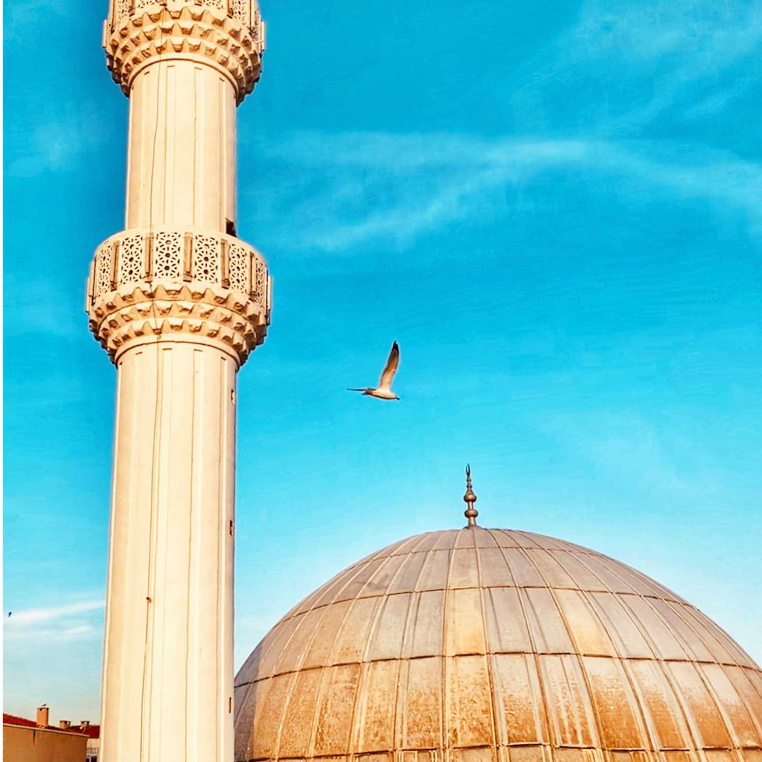 Burdan mı Çıkılıyo?