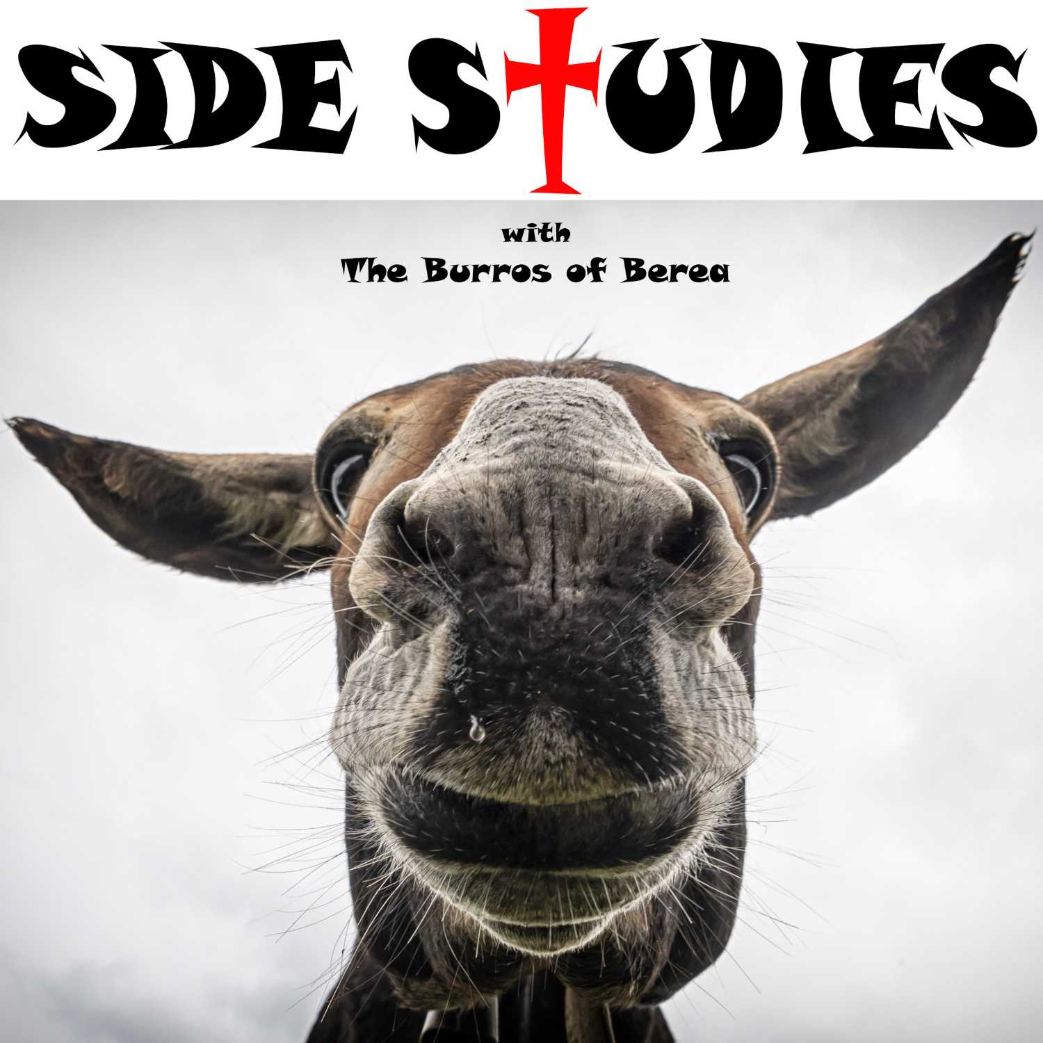 Episode 5- Side Study- Did John Write his Gospel? Part 1 of 3