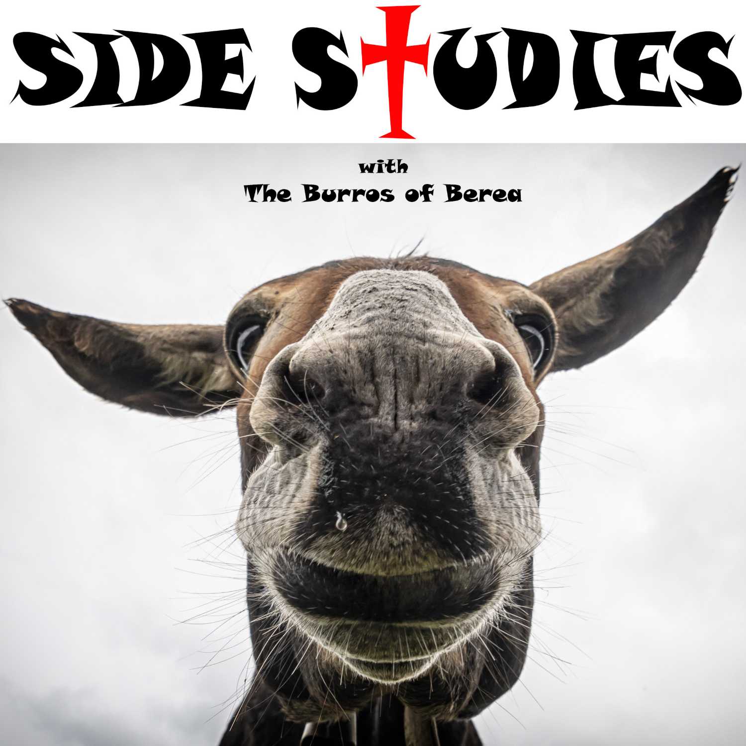 Episode 10- Side Study- Did John Write his Gospel? Part 3 of 3