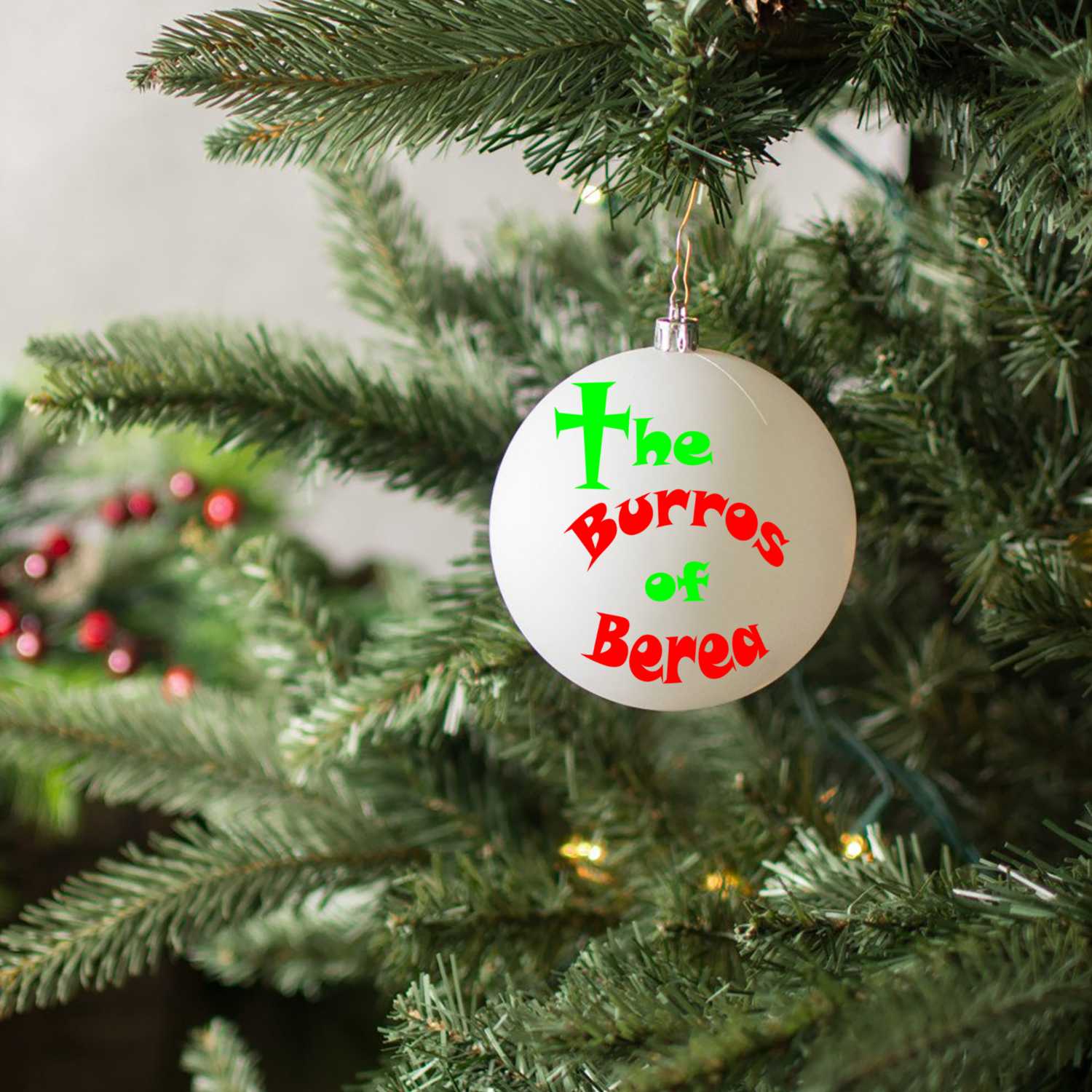 Episode 22- Holiday Edition- Christmas- The Biblical Account, Saturnalia and the Zodiac