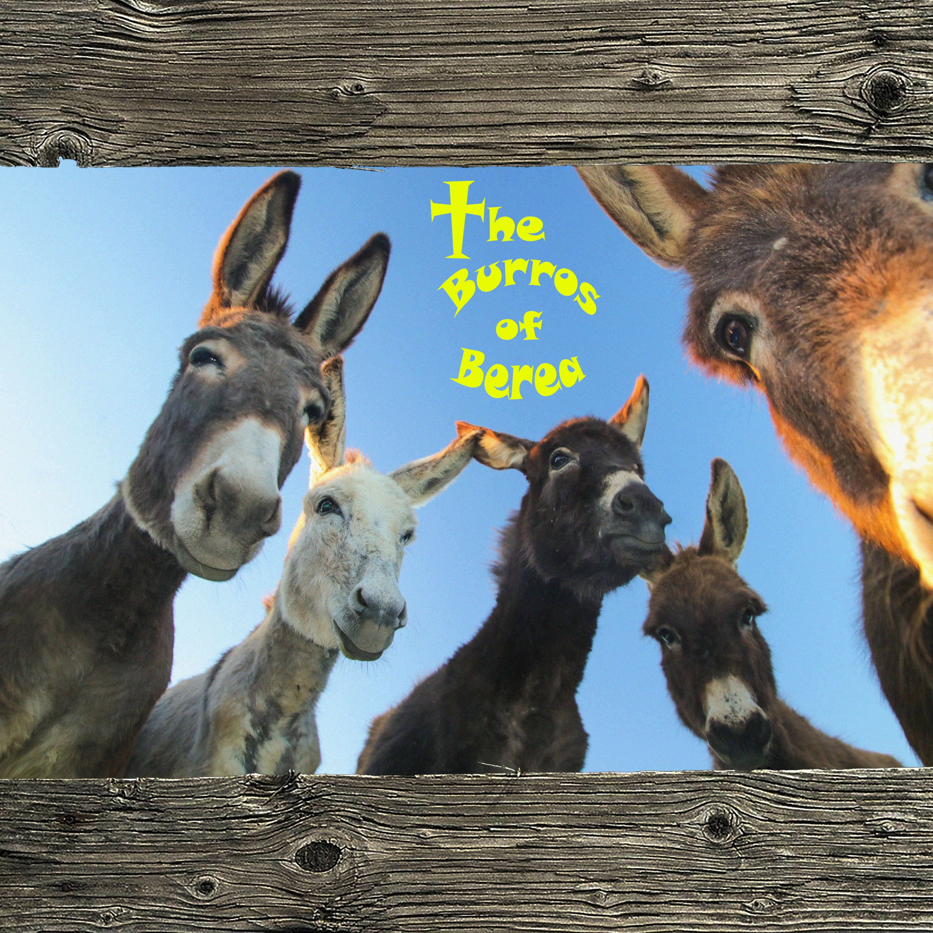 Episode 175- Walking in Step with the Spirit- Part 2- The Greatest of These is Love episode artwork