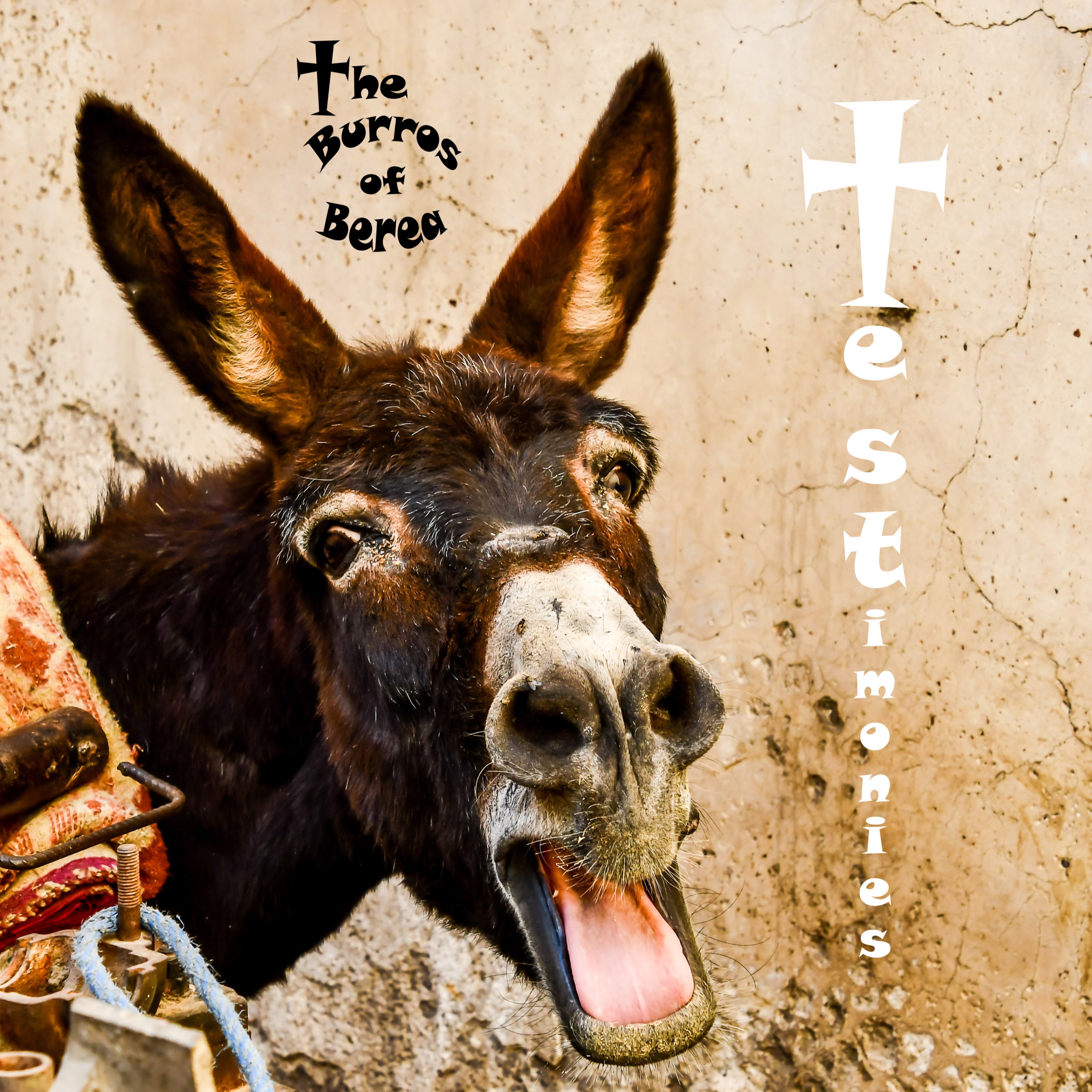 The Burros of Berea Podcast