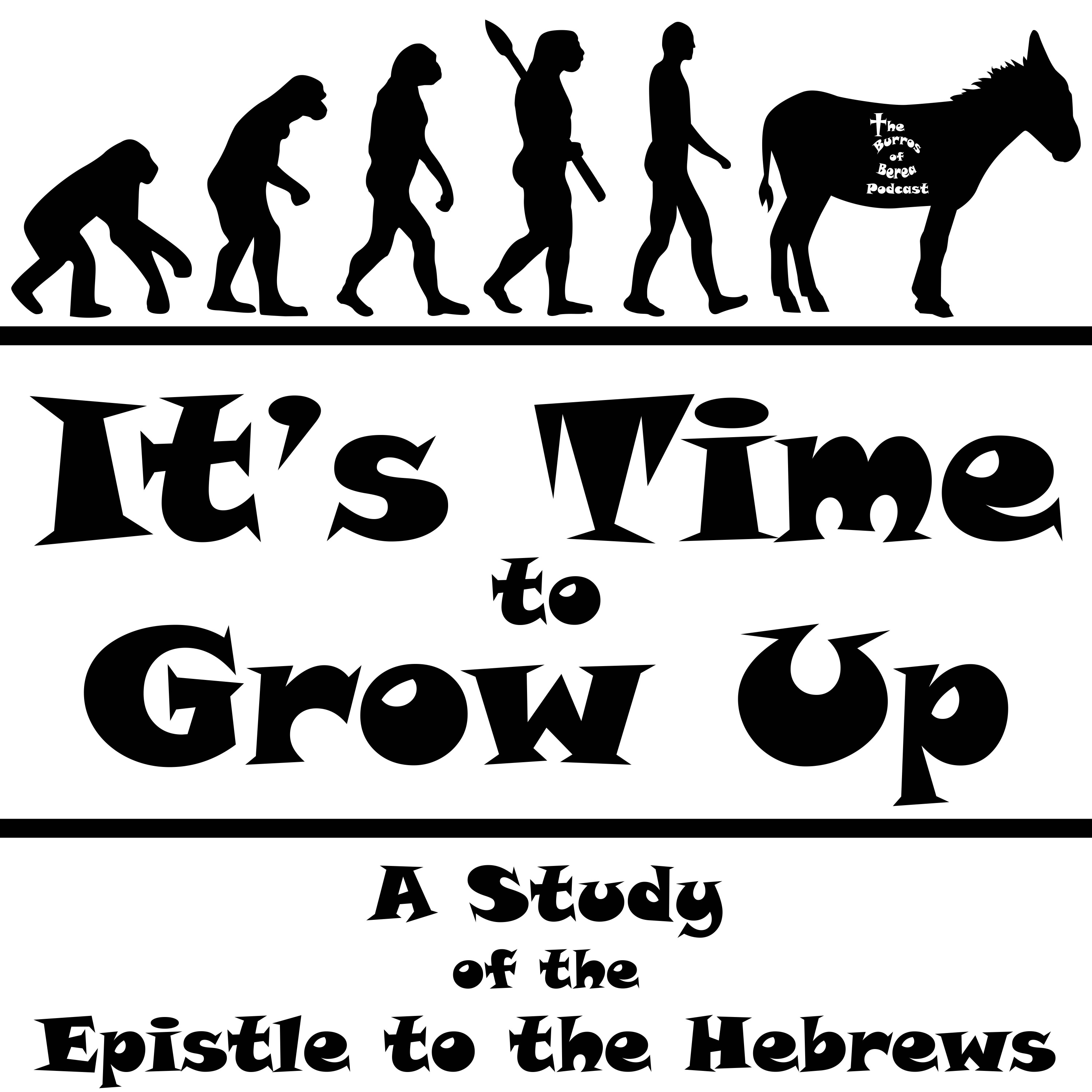 Episode 100- It's Time to Grow Up- A Study of the Epistles of the Hebrews- Part 2