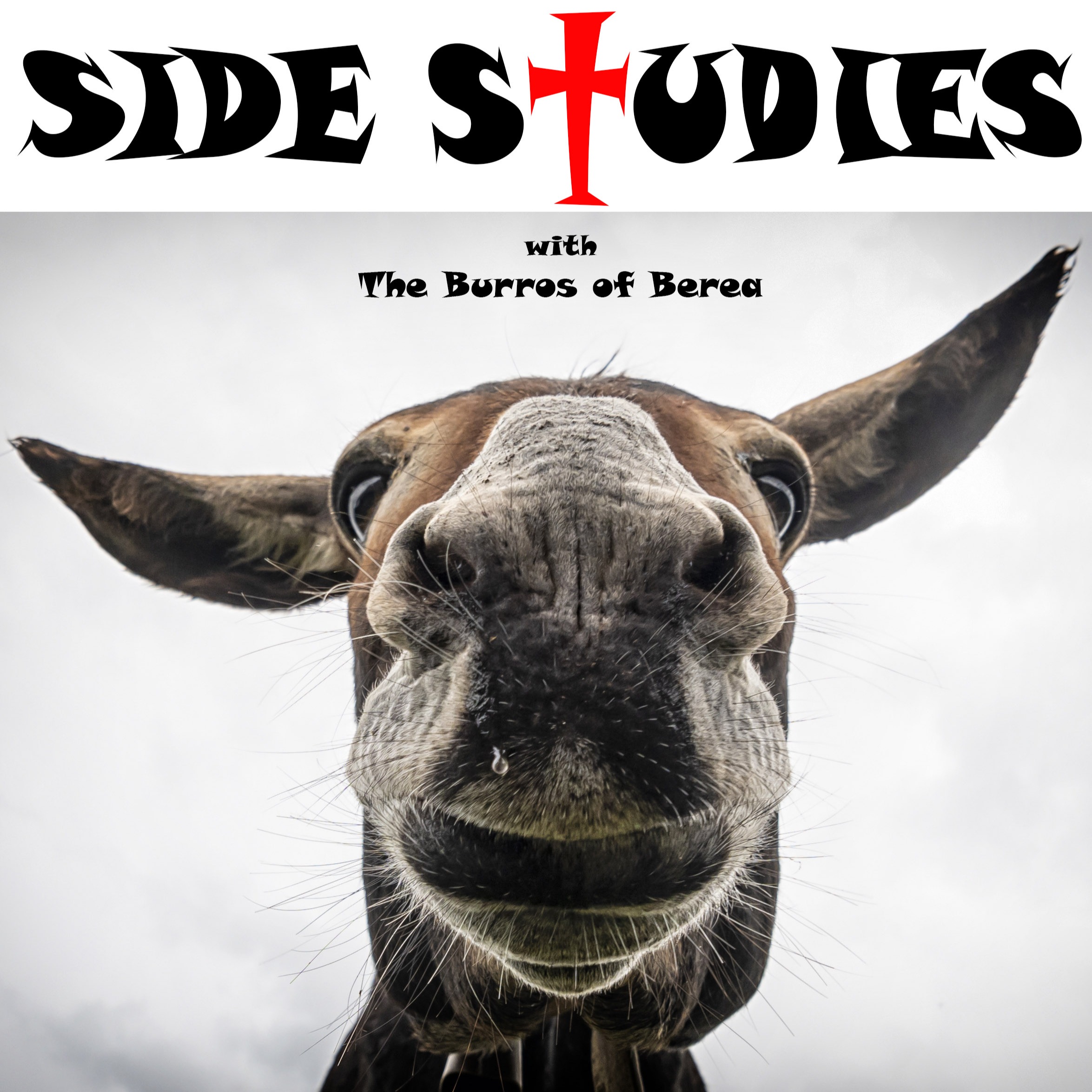 Episode 197- Side Study- How Sovereign is God?- Part 5- Kelly Coy Updated Testimony episode artwork