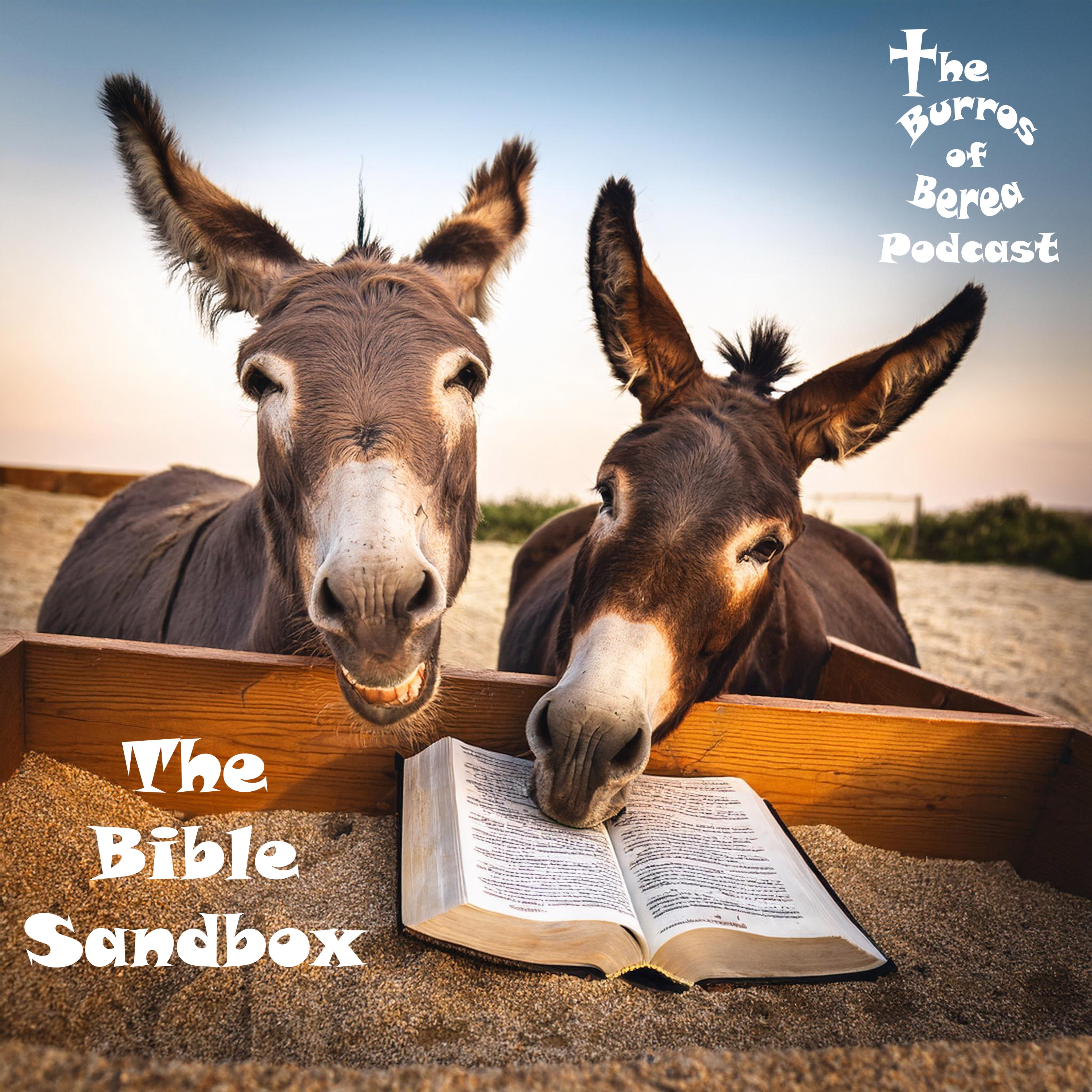 Episode 225- The Bible Sandbox- Hebraic-Greek? A Discussion with Chris Lombardi