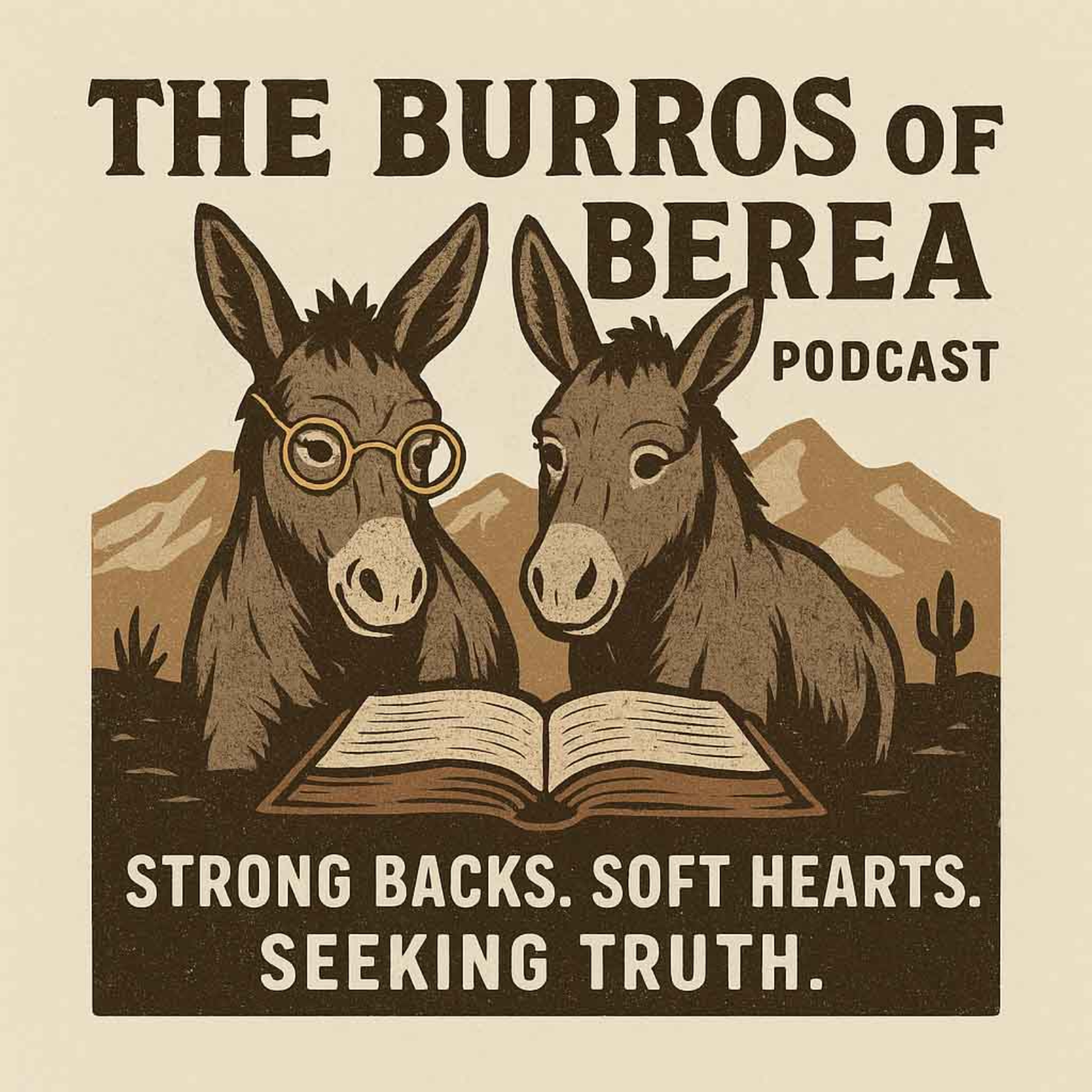 Episode 300- An Interview with Karen Ogea- Advancing God's Kingdom Through Pro-Life Ministry episode artwork