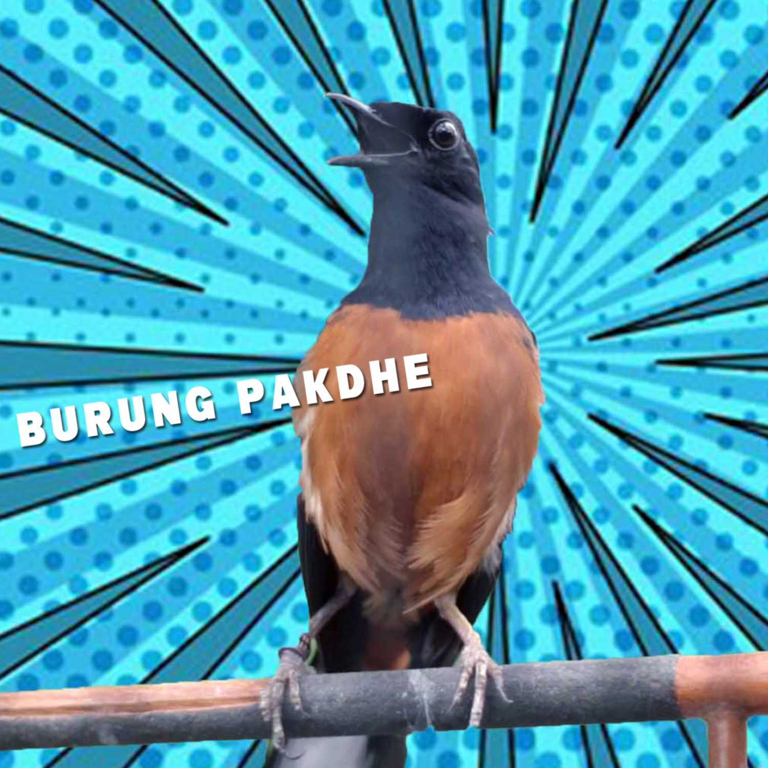 BURUNG PAKDHE