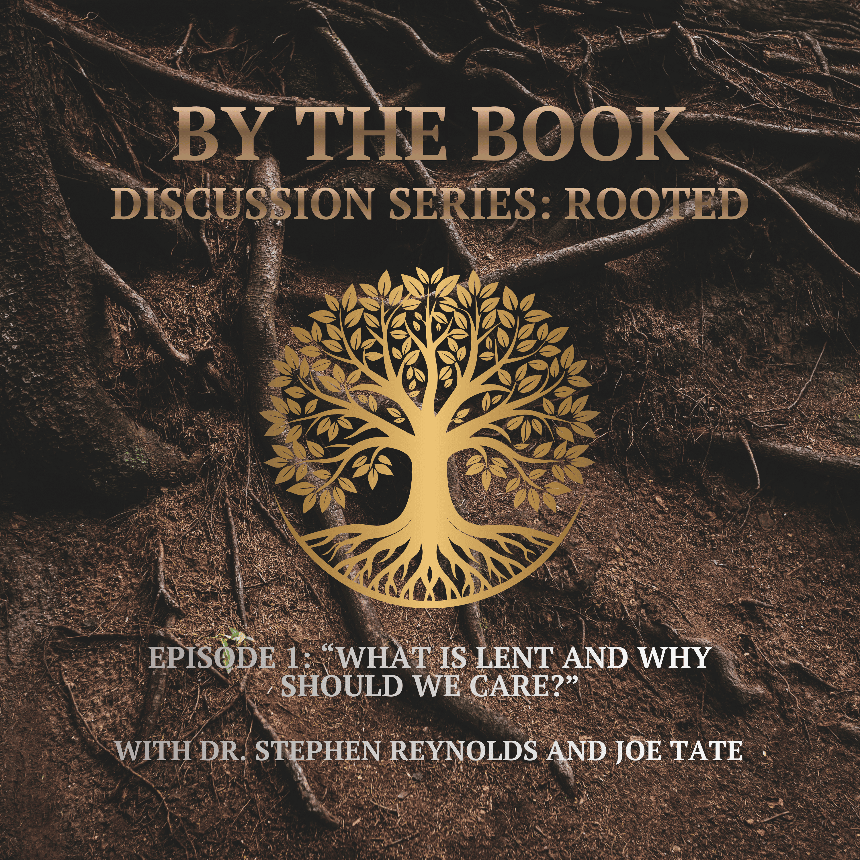 By the Book | Christ-centered teaching with Dr. Stephen Reynolds