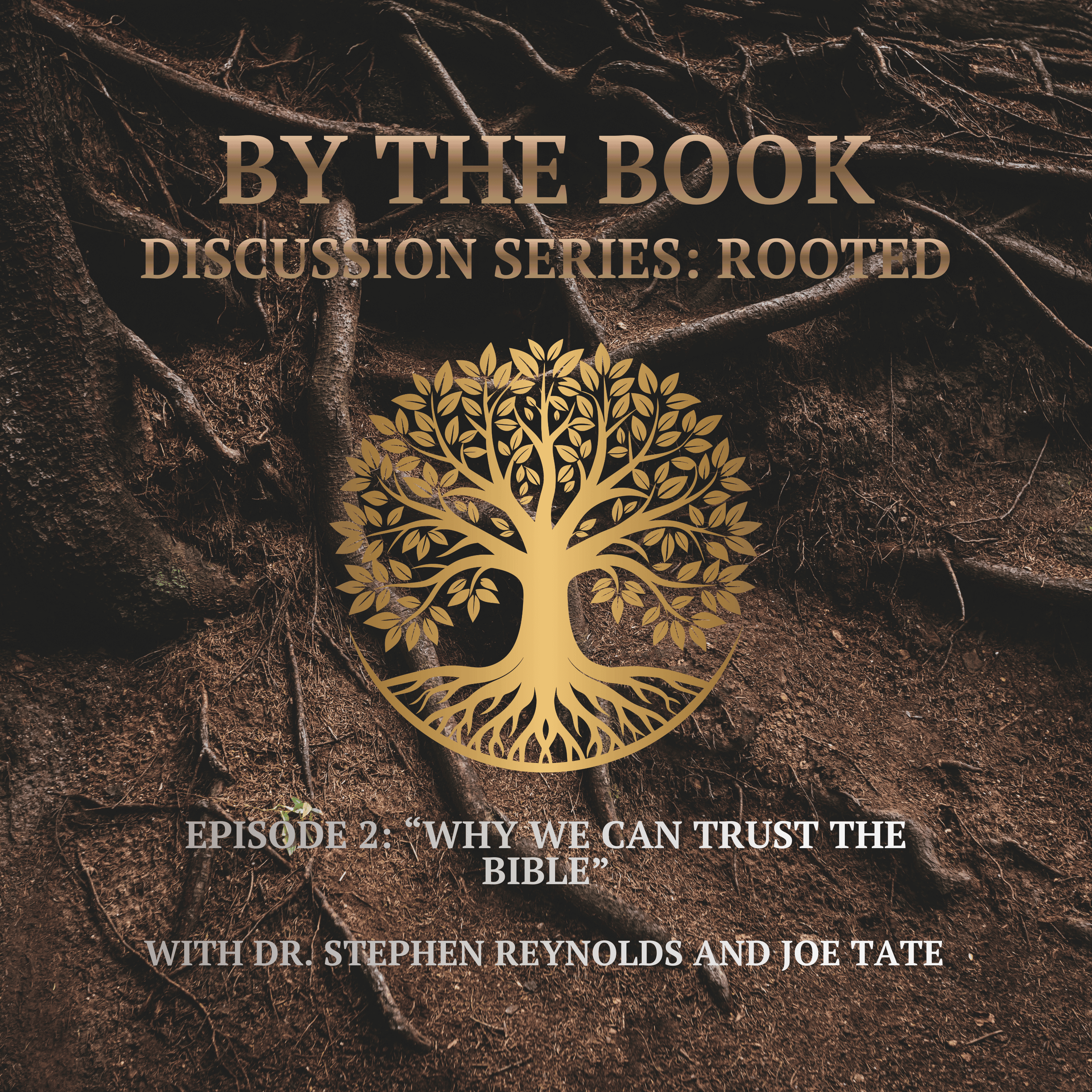 Discussion Series | Rooted | 2. Why We Can Trust The Bible episode artwork