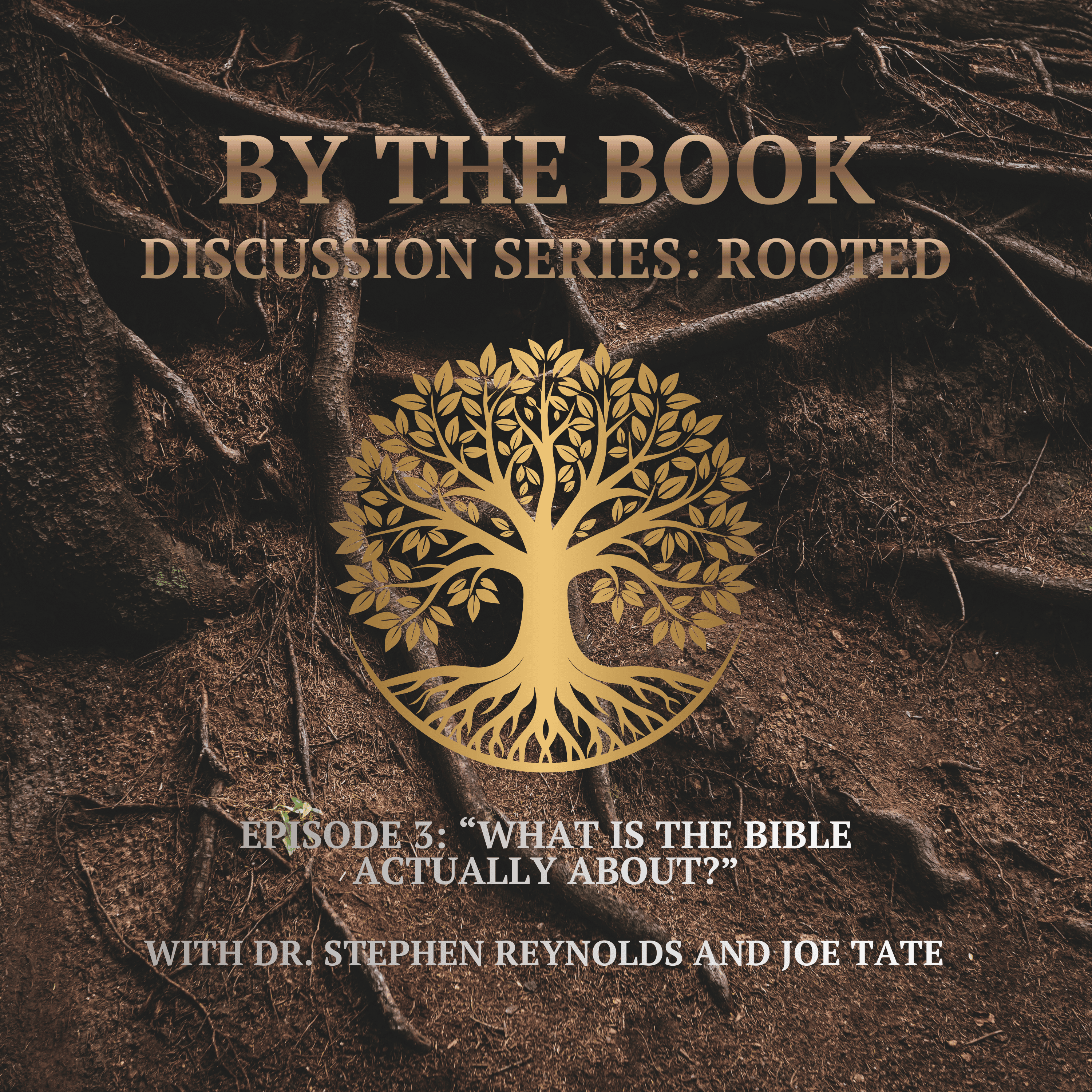 By the Book | Christ-centered teaching with Dr. Stephen Reynolds
