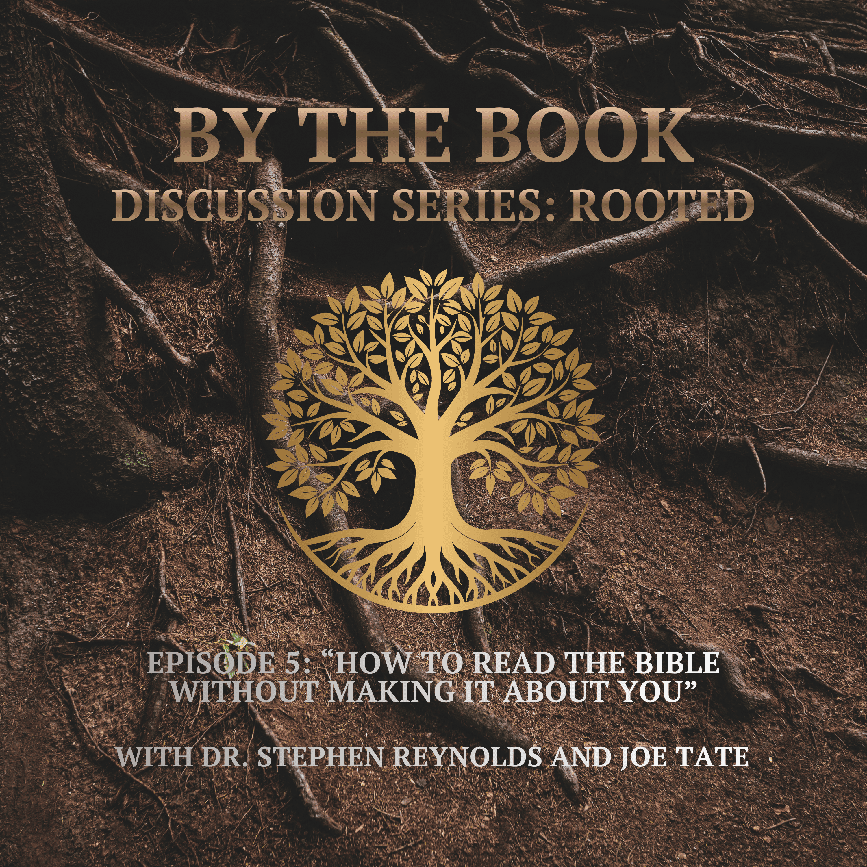 Discussion Series | Rooted | 5. How to read the bible without making it about you episode artwork