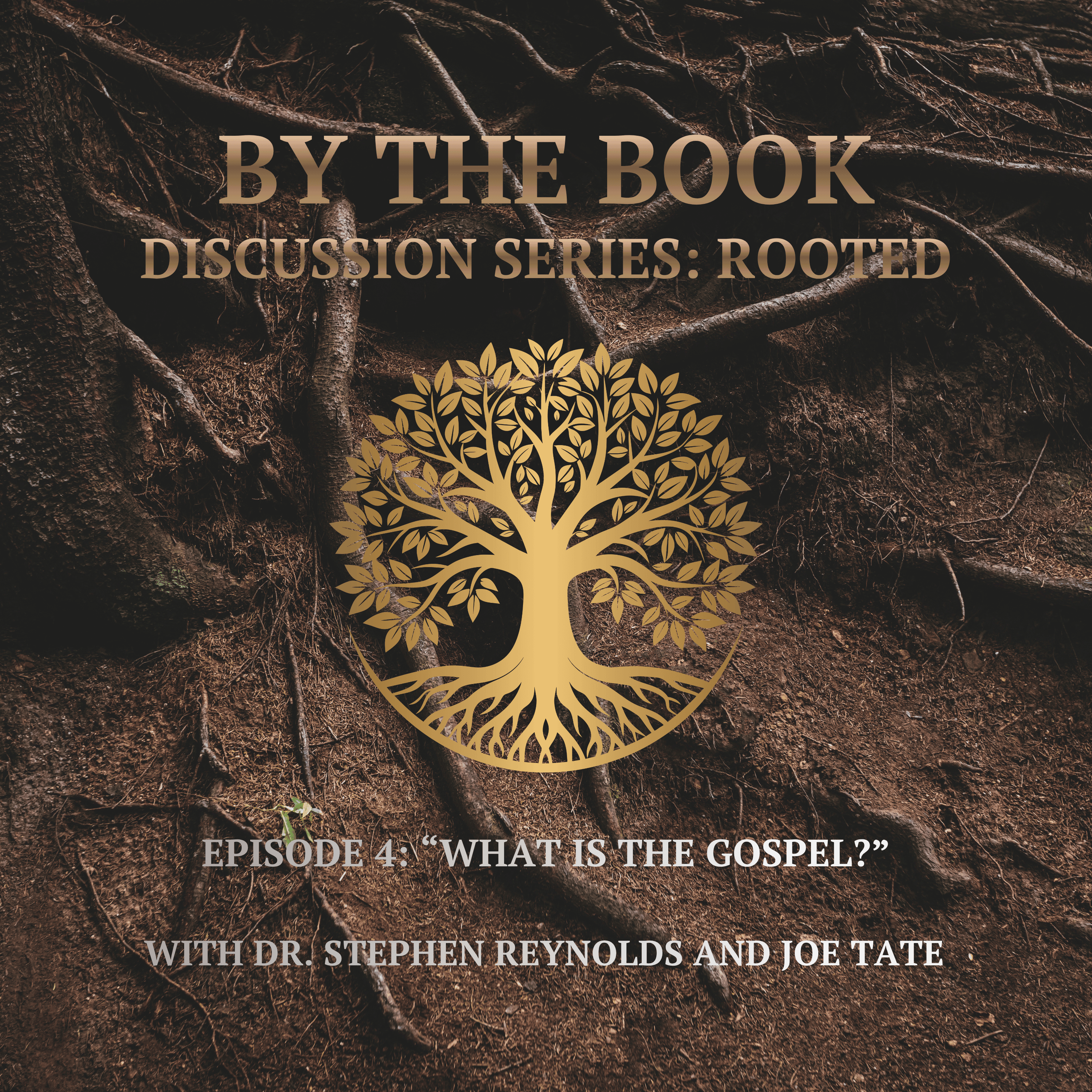 Discussion Series | Rooted | 4. What Is the Gospel? episode artwork