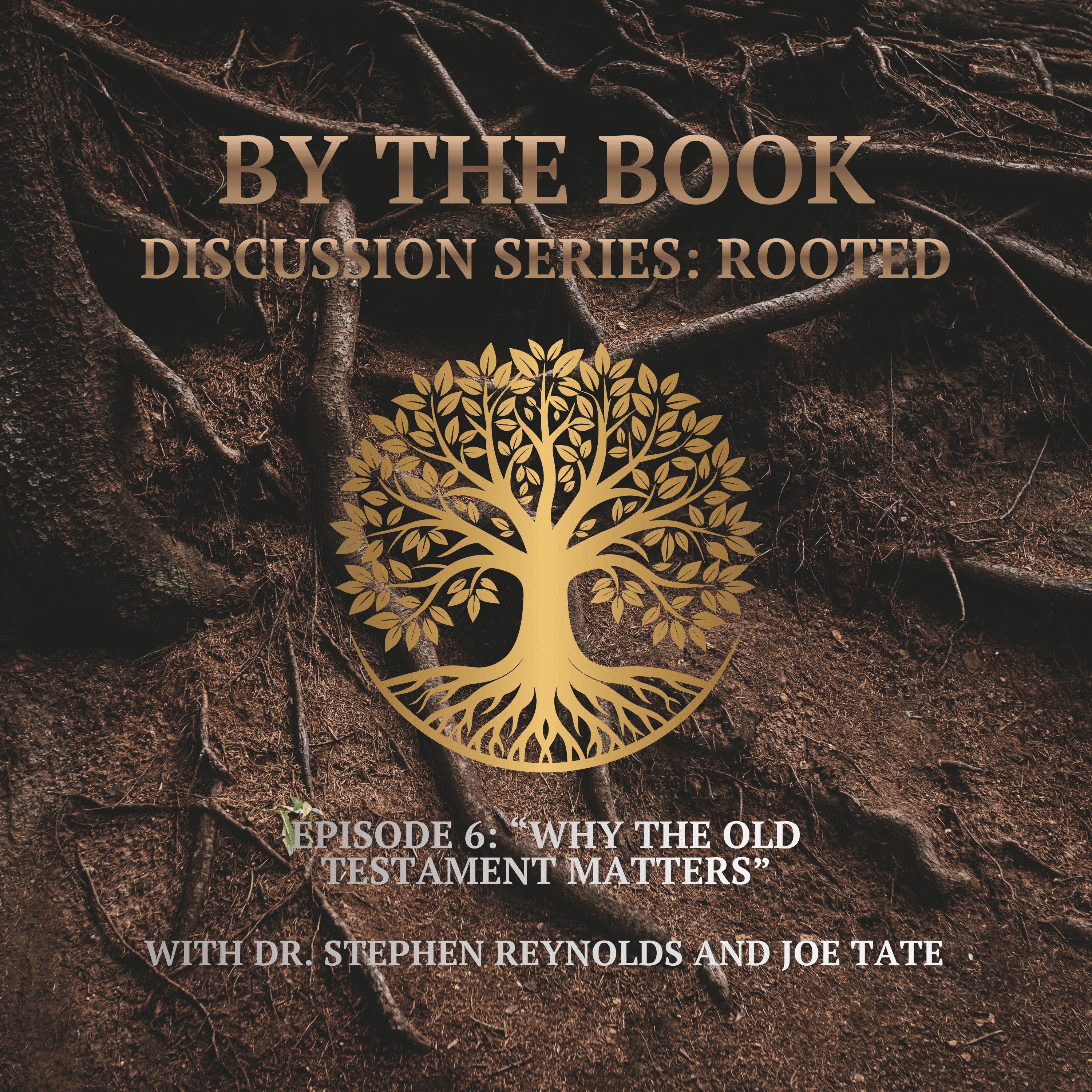 By the Book | Christ-centered teaching with Dr. Stephen Reynolds