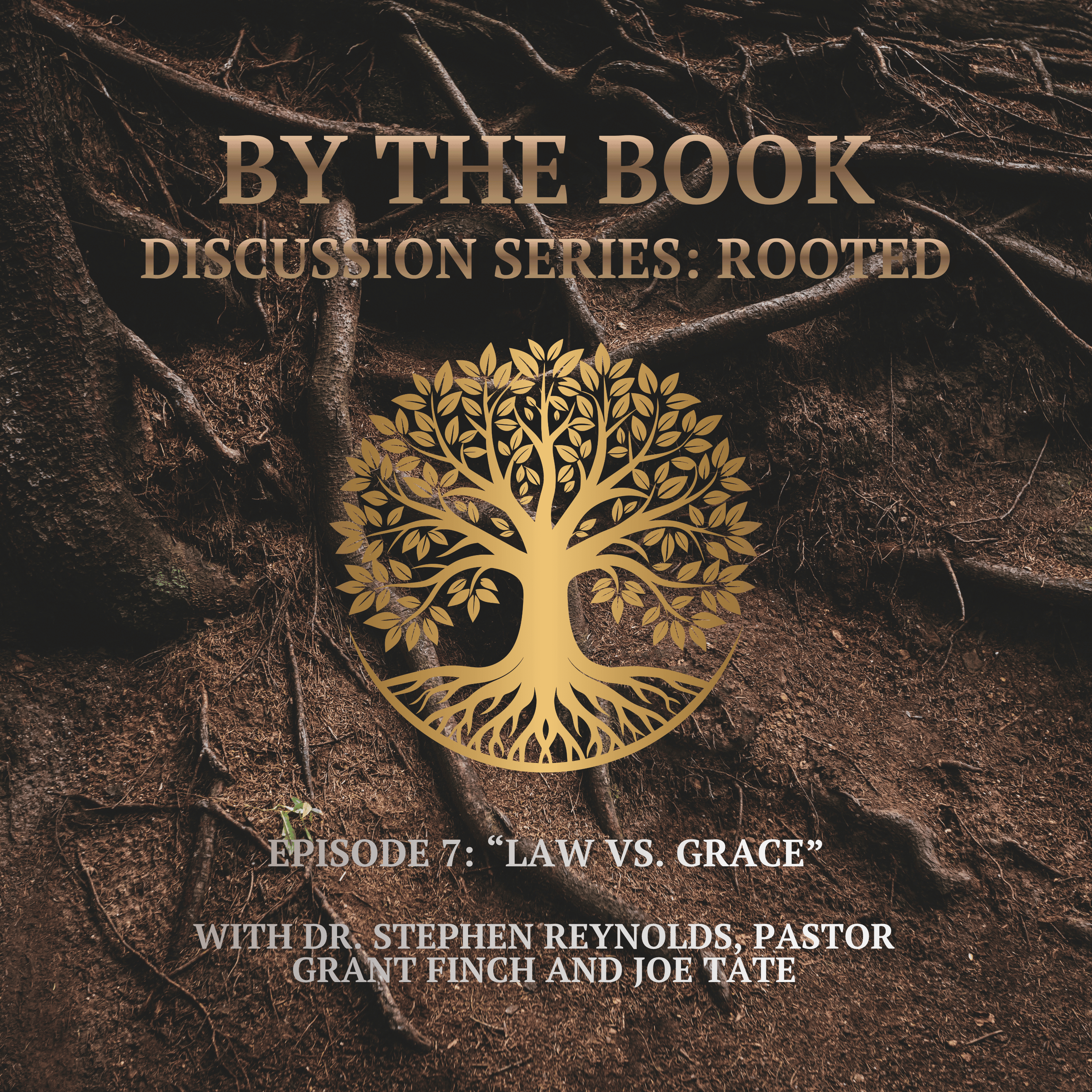 Discussion Series | Rooted | 7. Law Vs. Grace episode artwork
