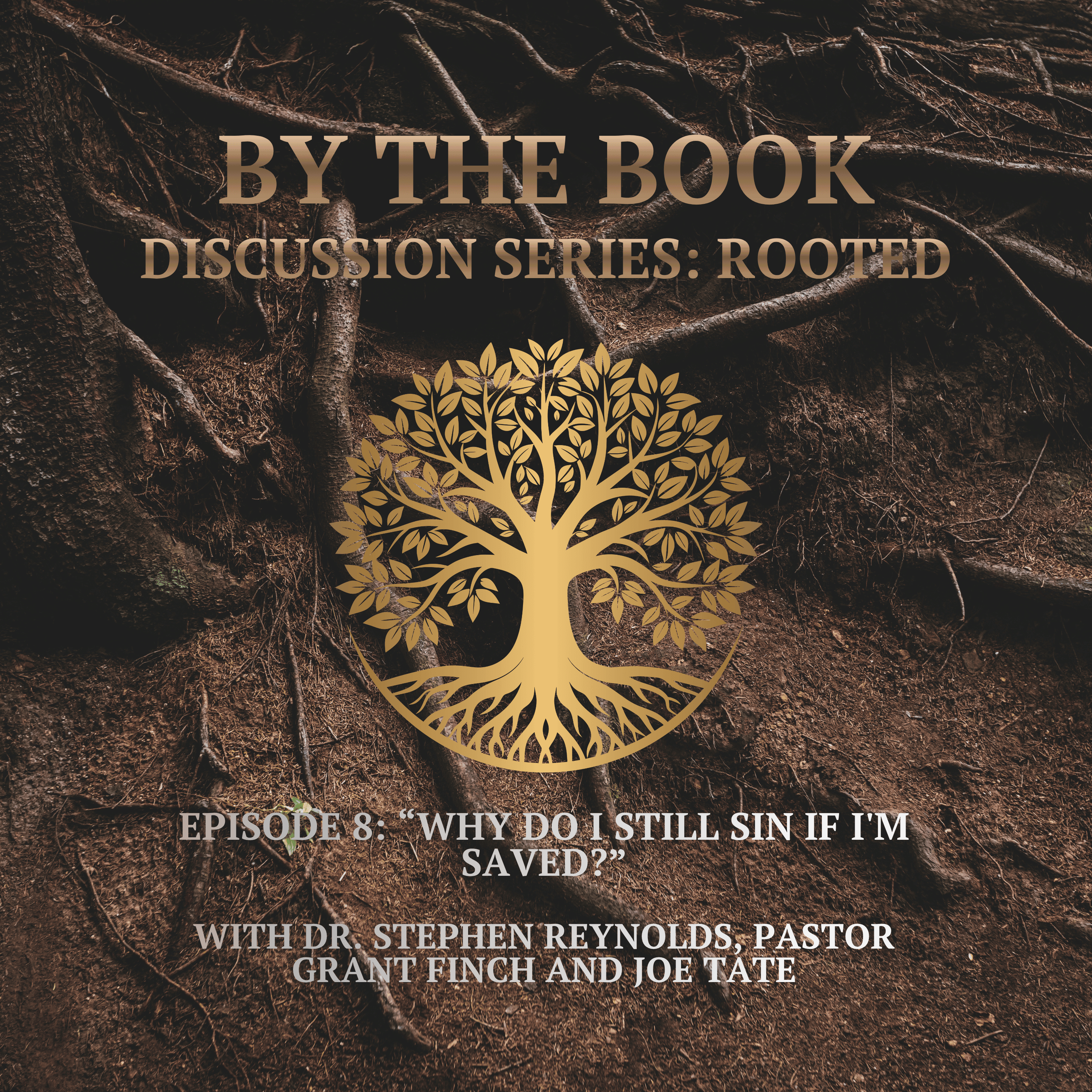 Discussion Series | Rooted | 8. Why Do I Still Sin If I'm Saved? episode artwork