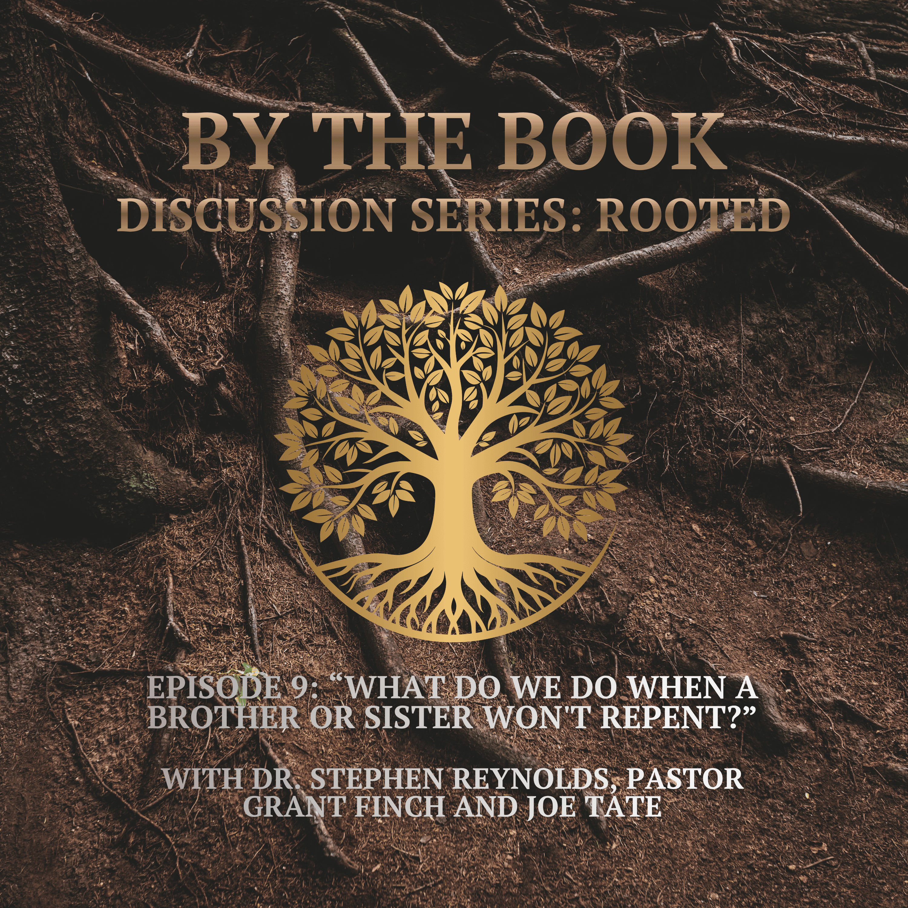 Discussion Series | Rooted | 9. What Do We Do When a Brother or Sister Won't Repent? episode artwork
