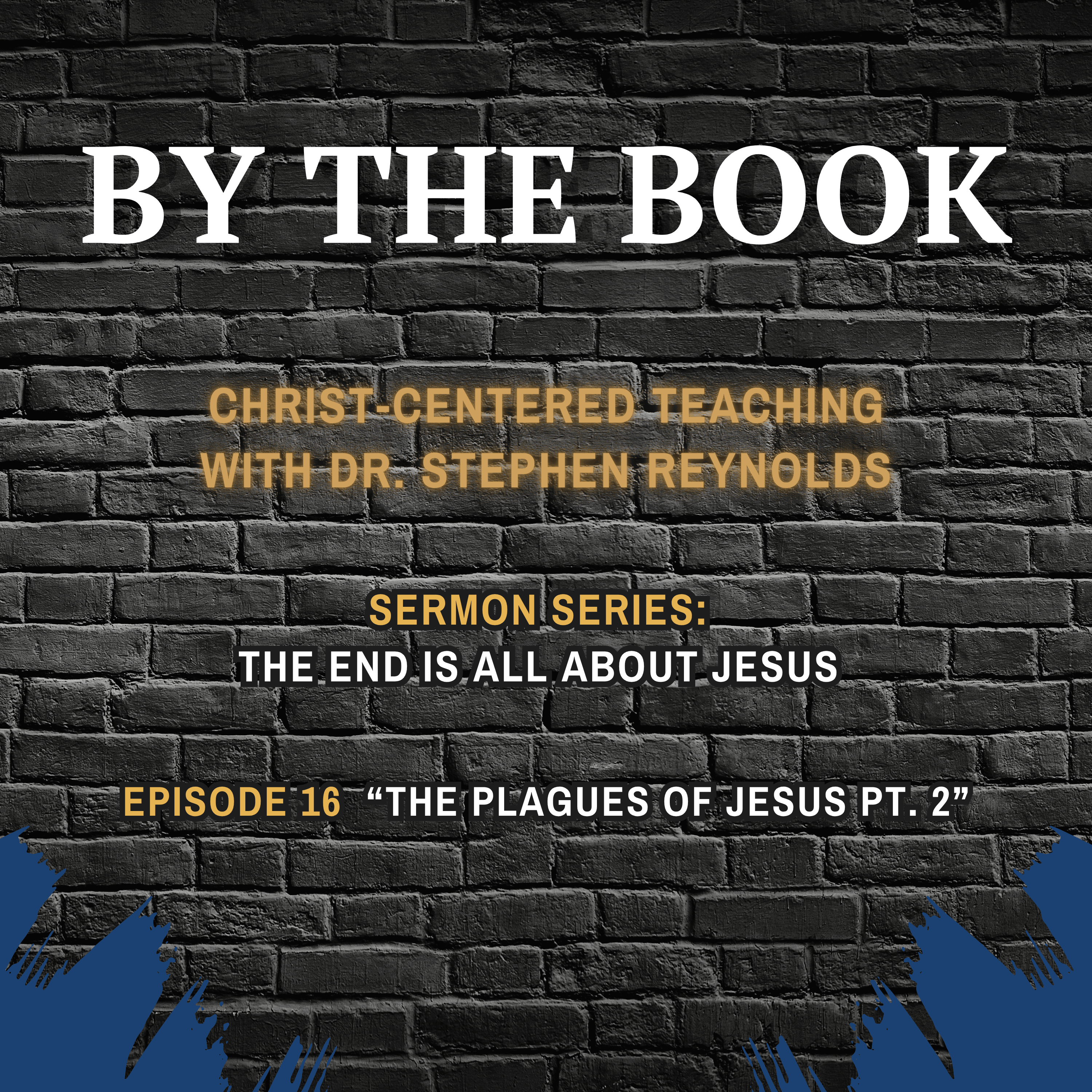 Sermon Series | The End Is All About Jesus | 16. The Plagues of Jesus Pt. 2 episode artwork
