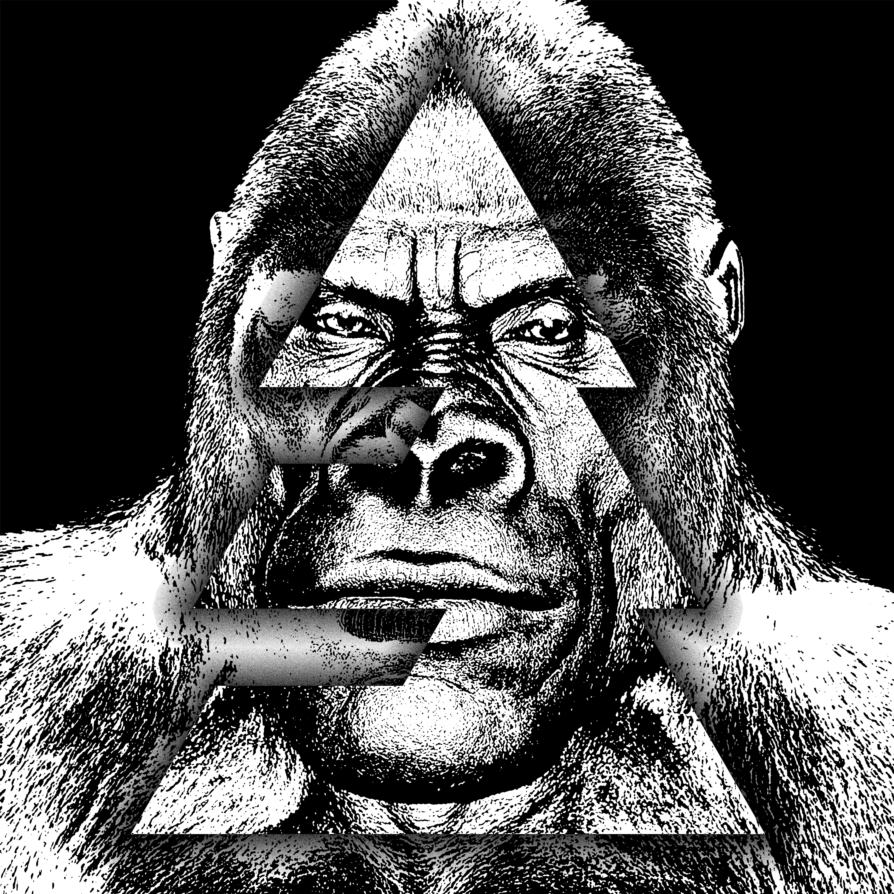 Gorilla Mode episode artwork