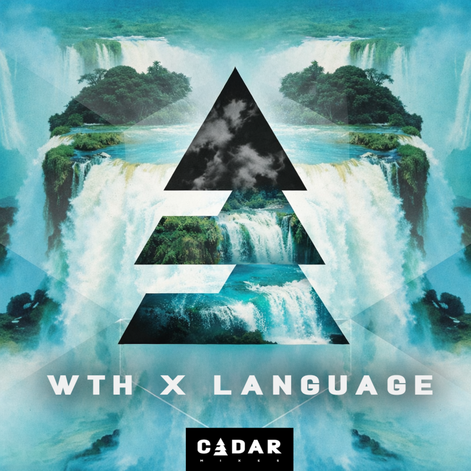 WTH X LANGUAGE episode artwork