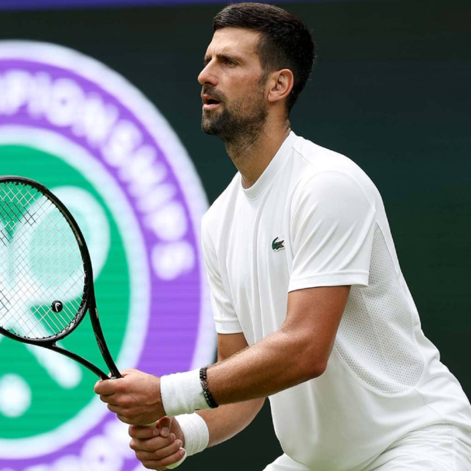 26.06 - Djokovic novamente no caminho de Fonseca: análise flash das chaves de Wimbledon episode artwork