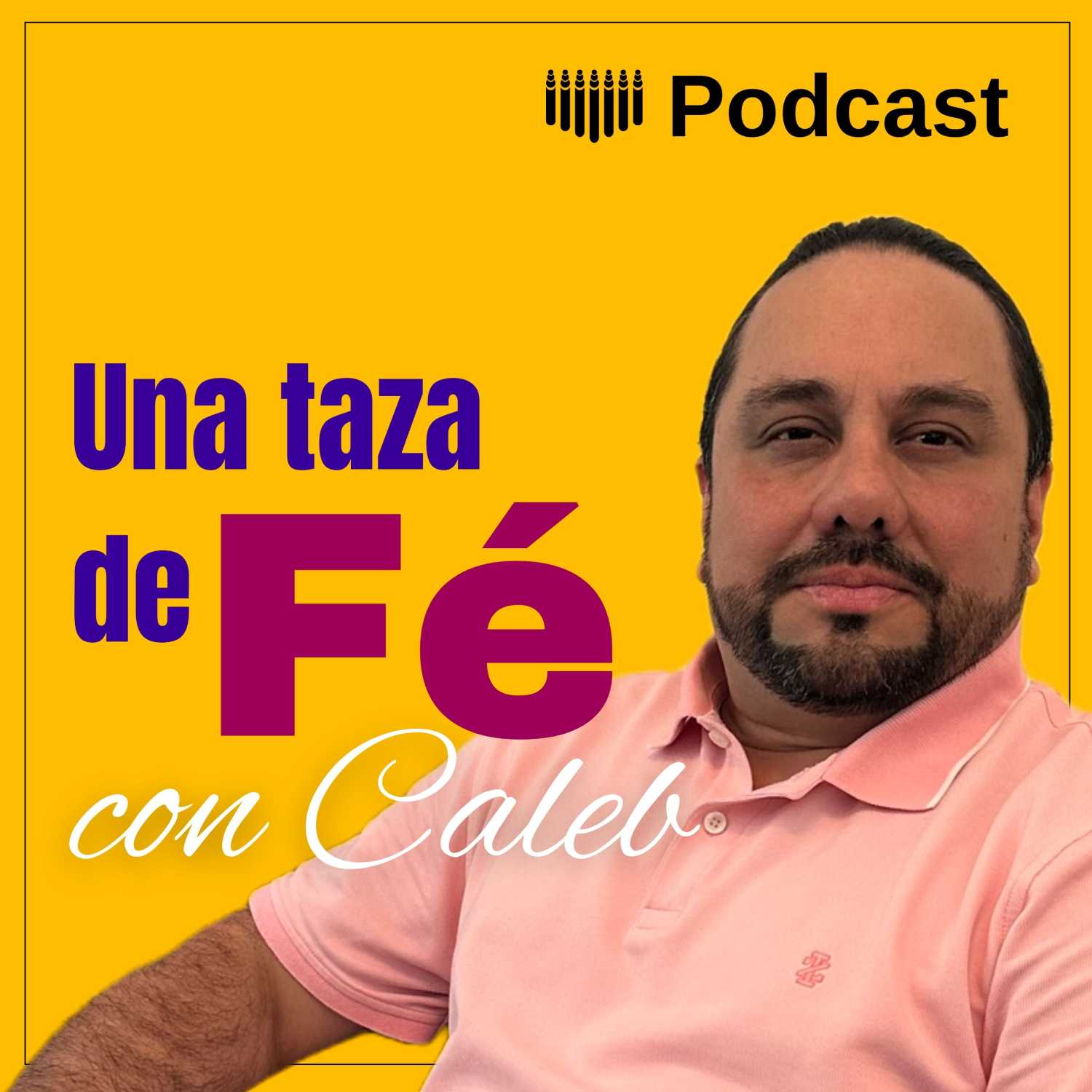 Falta un violinista episode artwork