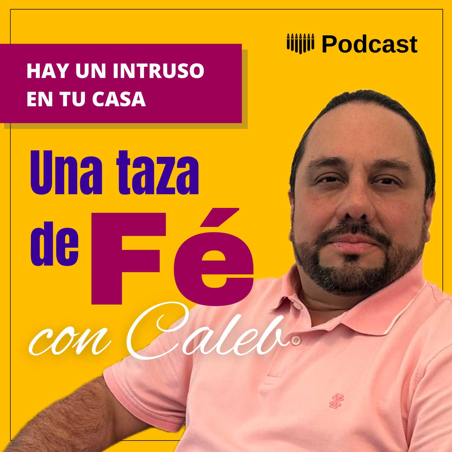 Hay un intruso en tu casa episode artwork