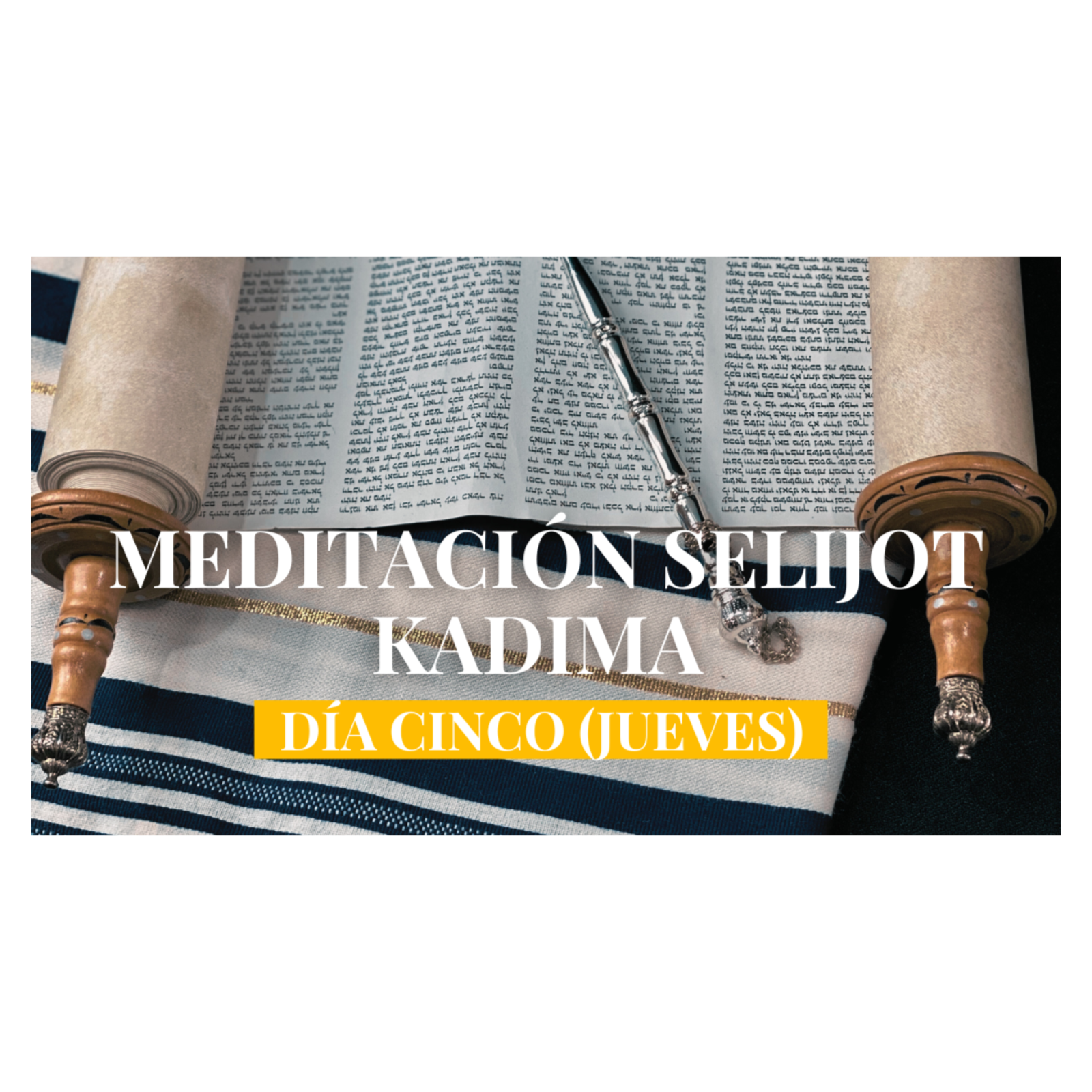 Meditación Kadima Día 5 (Jueves)| Aharón HaKohén: Encuentra Shalom (Paz) y el Equilibrio Interior episode artwork